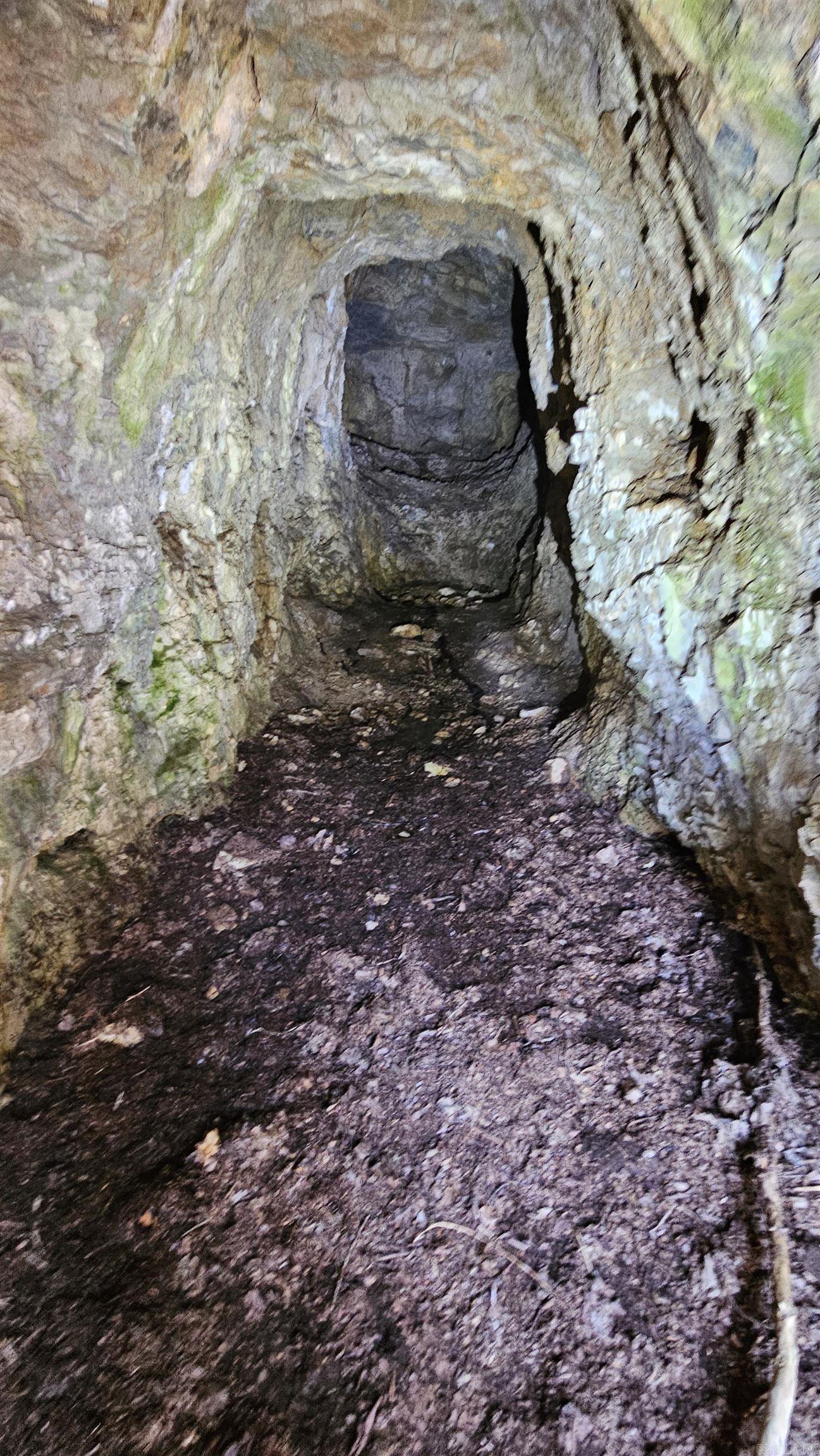 529 Mayfield  Flippin, AR