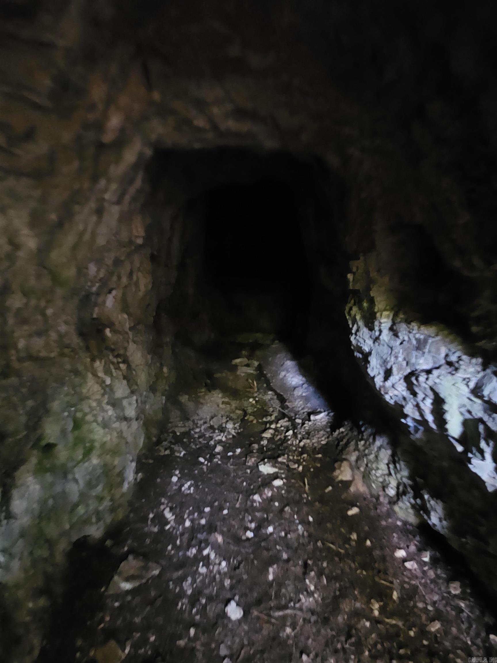 529 Mayfield  Flippin, AR