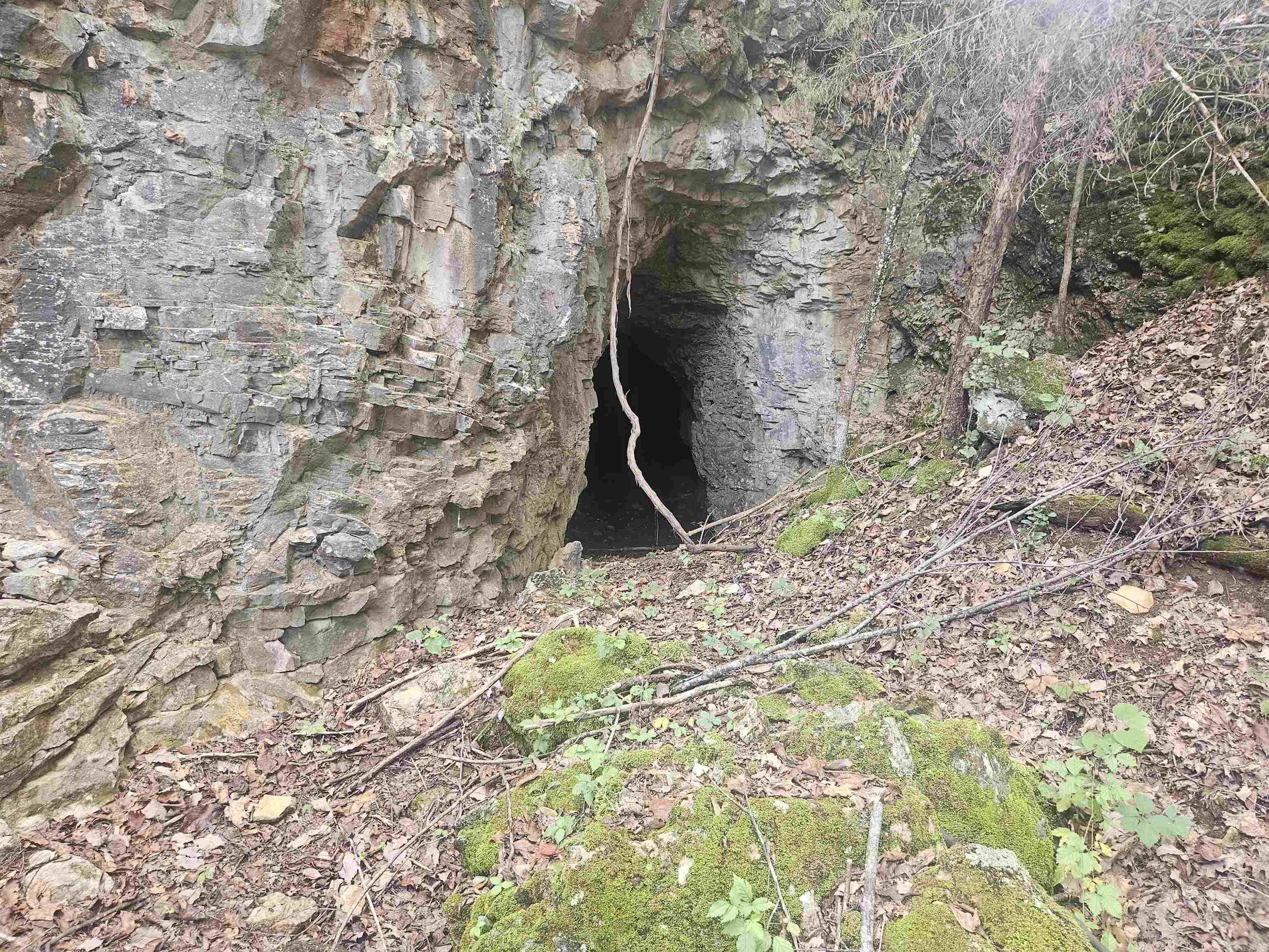 529 Mayfield  Flippin, AR