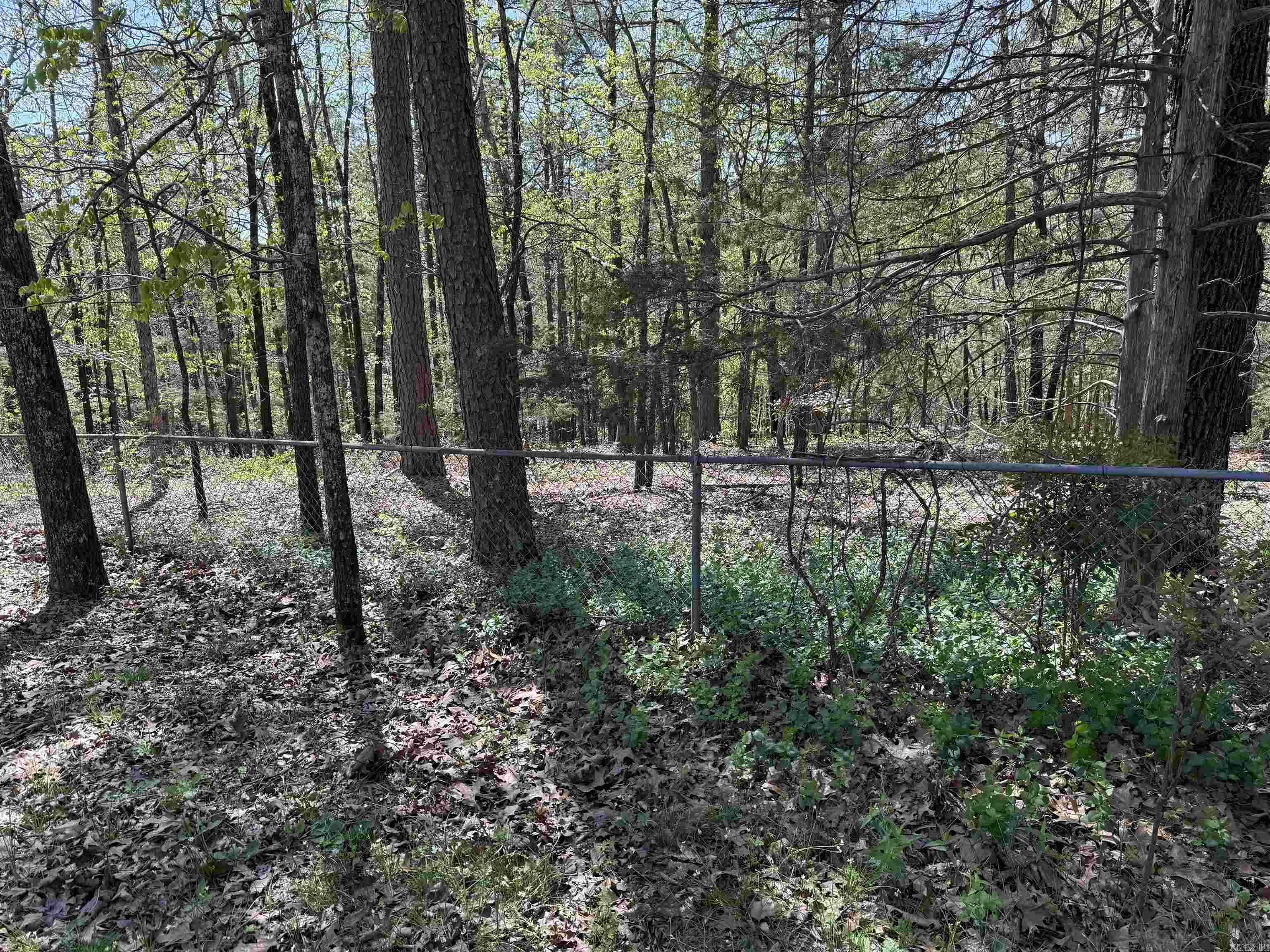 116 Dunn Hollow  Fairfield Bay, AR