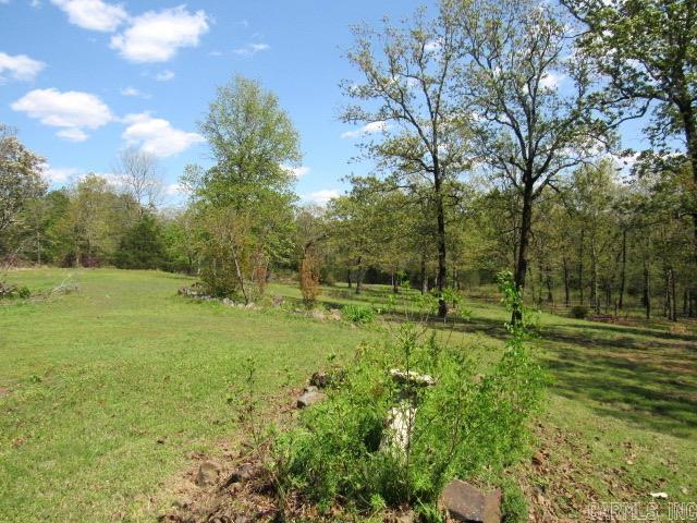 104 Sunshine Farms Road  Bigelow, AR