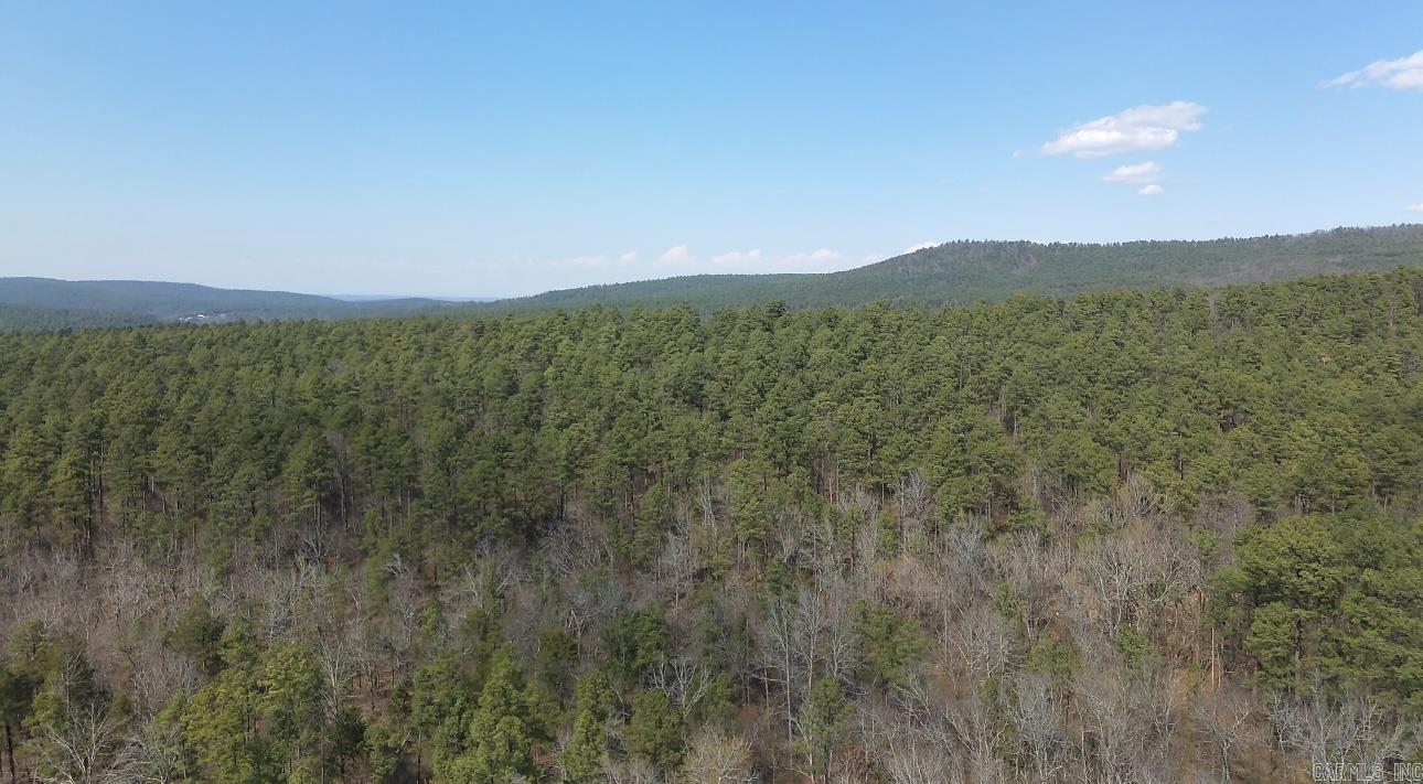  Cold Springs  Waldron, AR