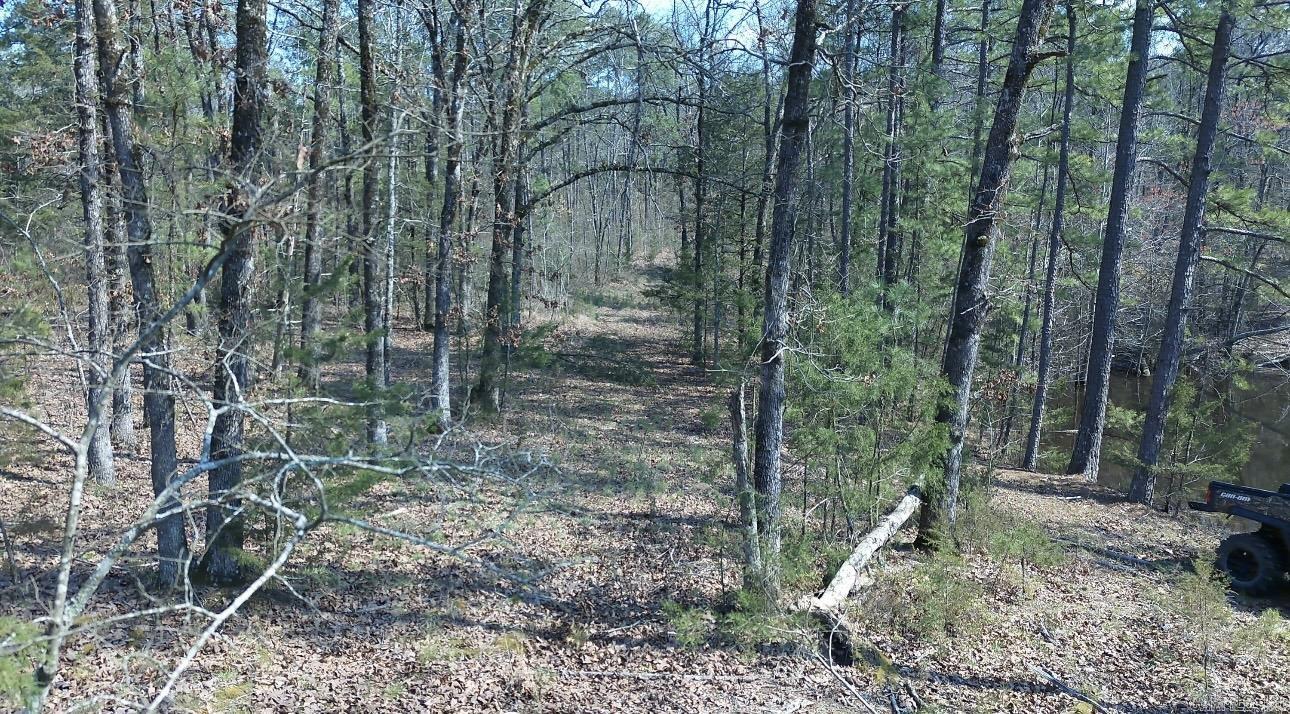  Cold Springs  Waldron, AR