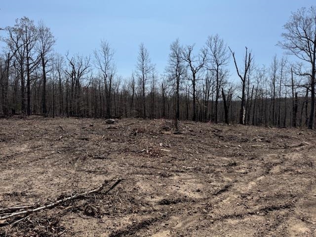 303 Mother Lode Drive  Horseshoe Bend, AR