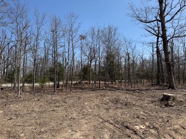 303 Mother Lode Drive  Horseshoe Bend, AR