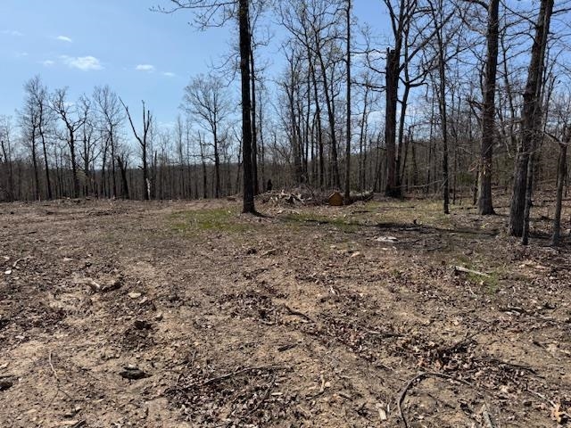 303 Mother Lode Drive  Horseshoe Bend, AR