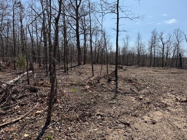 303 Mother Lode Drive  Horseshoe Bend, AR