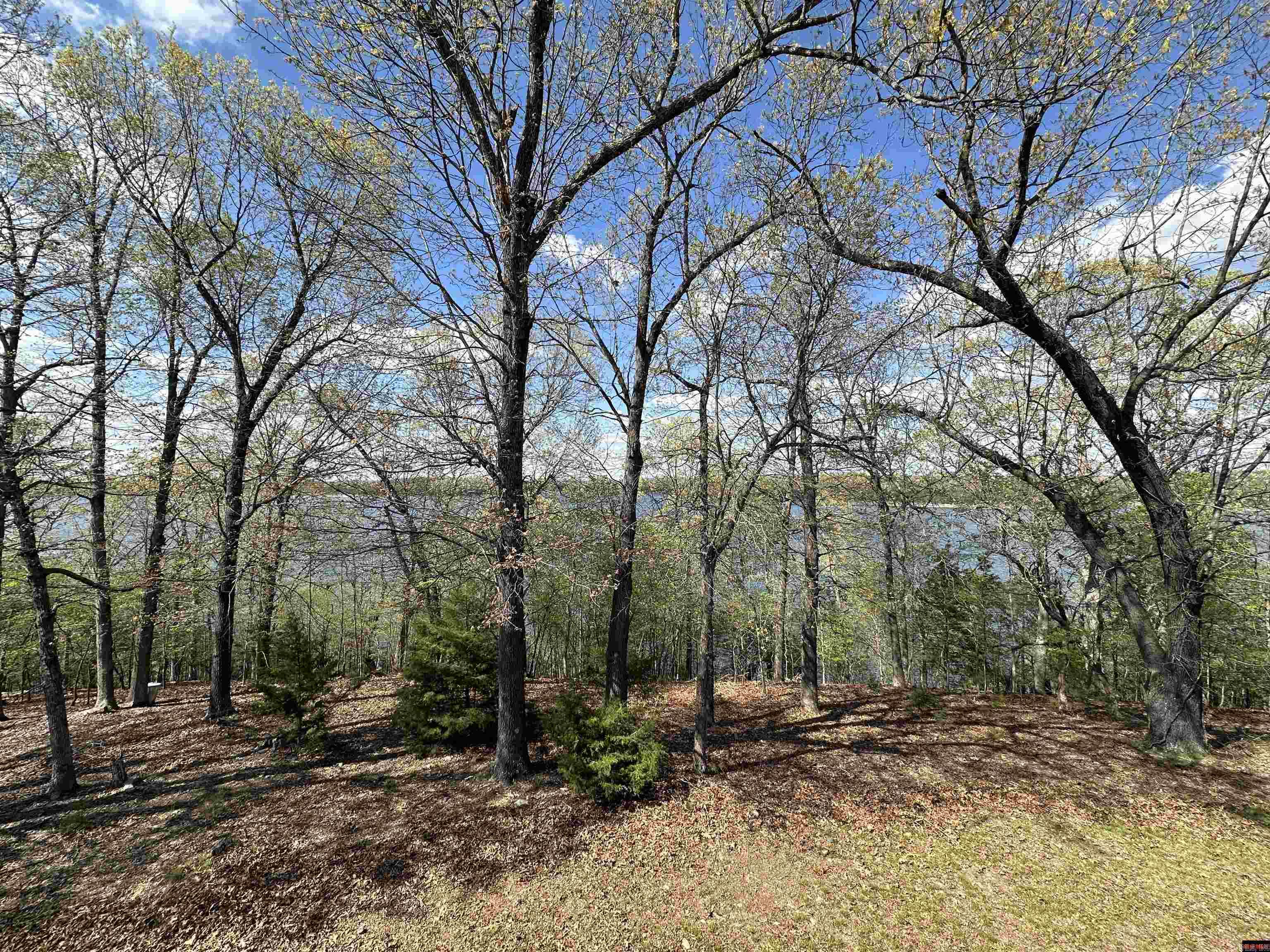 13534 MC 8001  Yellville, AR