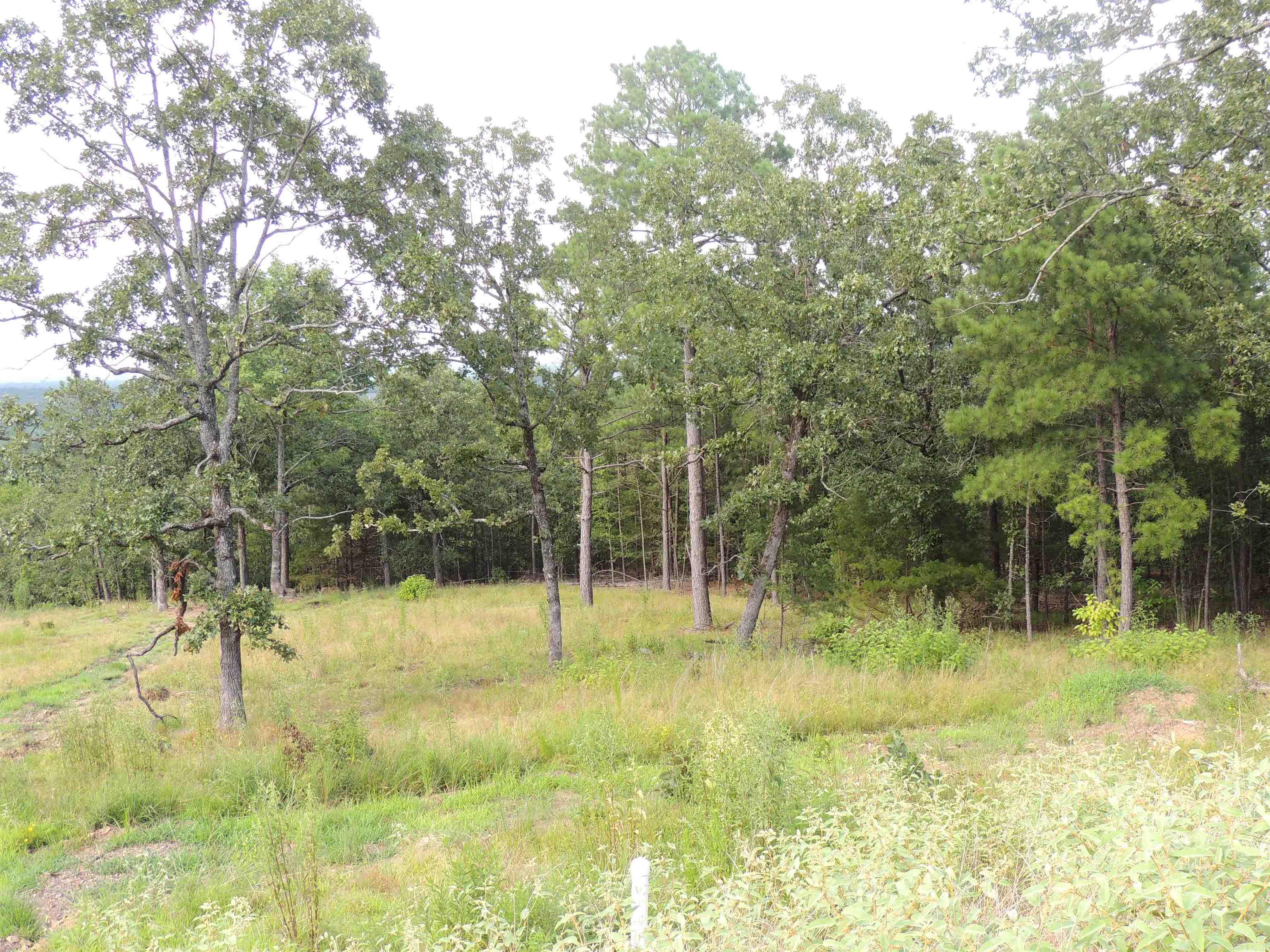 Lot 84 Summit View Lane  Maumelle, AR