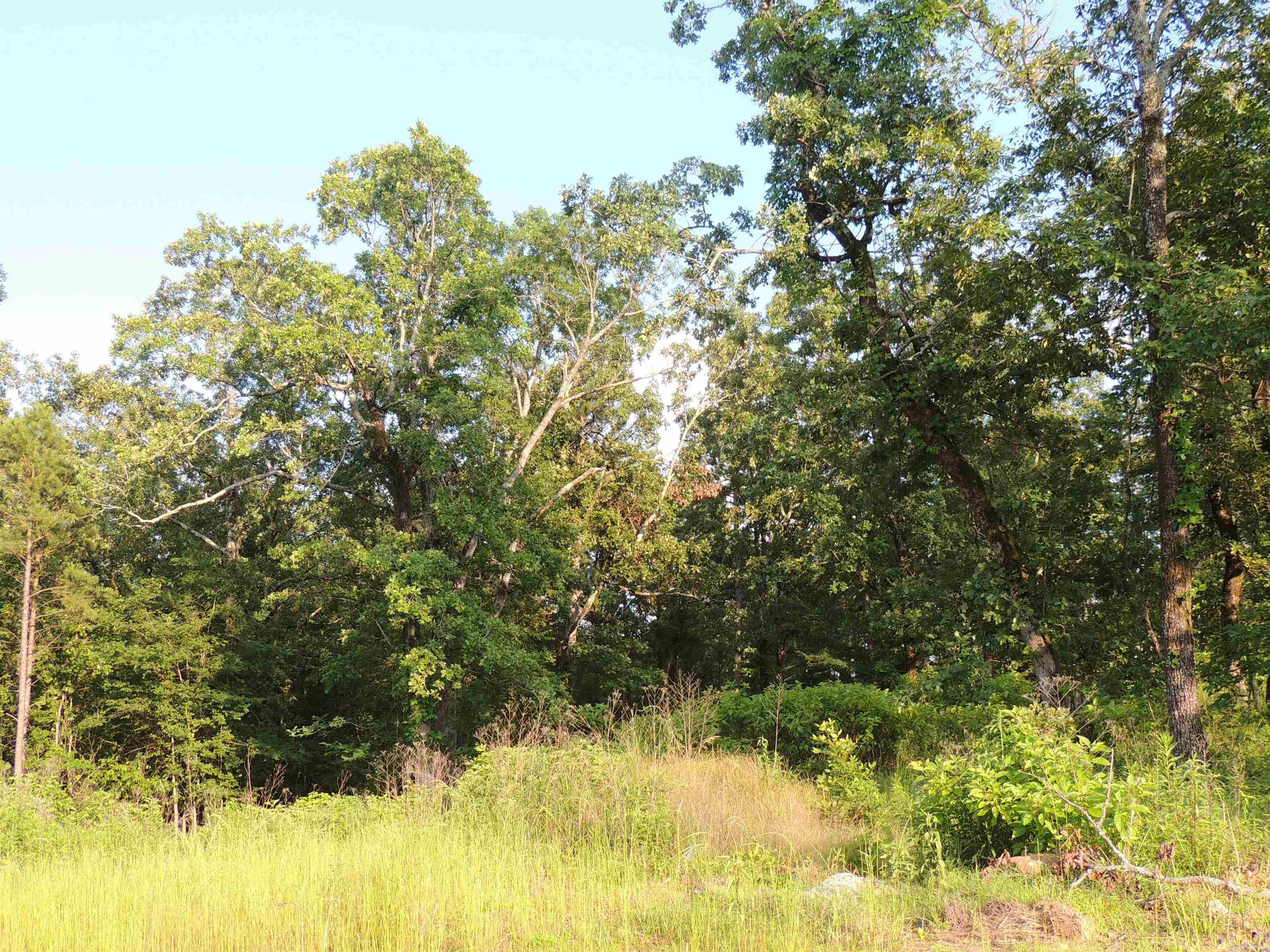 Lot 84 Summit View Lane  Maumelle, AR