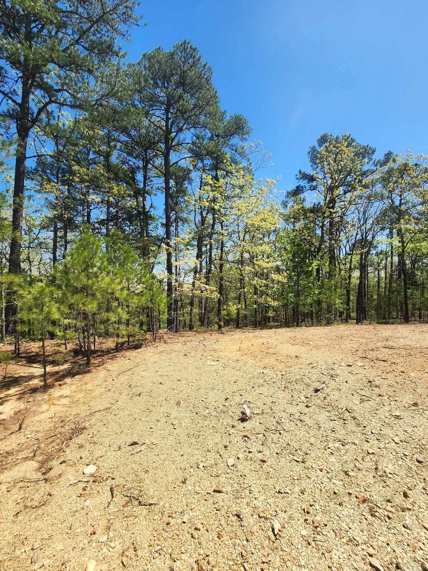 Lots 76-78 Red Oak Drive  Mena, AR