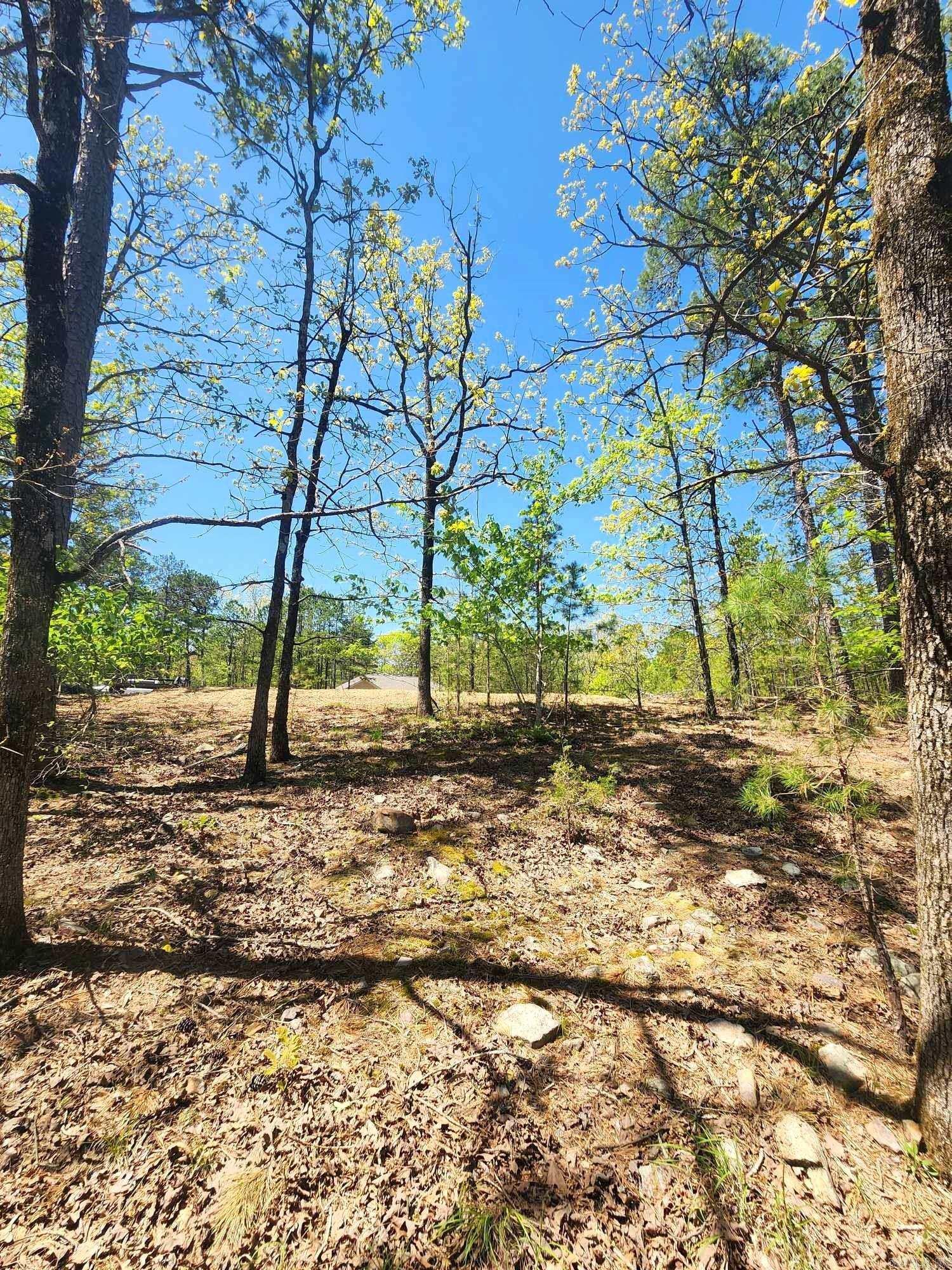 Lots 76-78 Red Oak Drive  Mena, AR