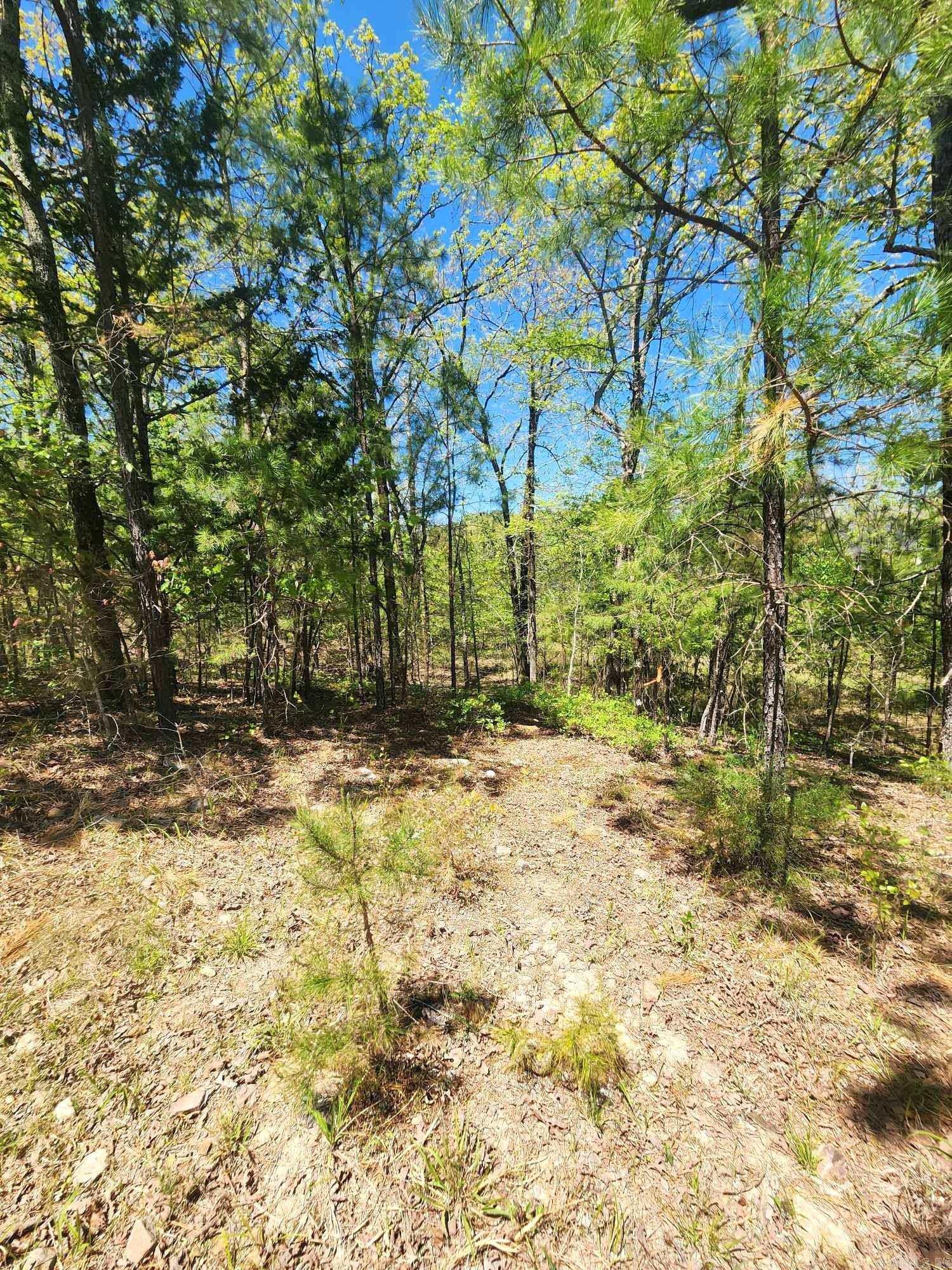 Lots 76-78 Red Oak Drive  Mena, AR