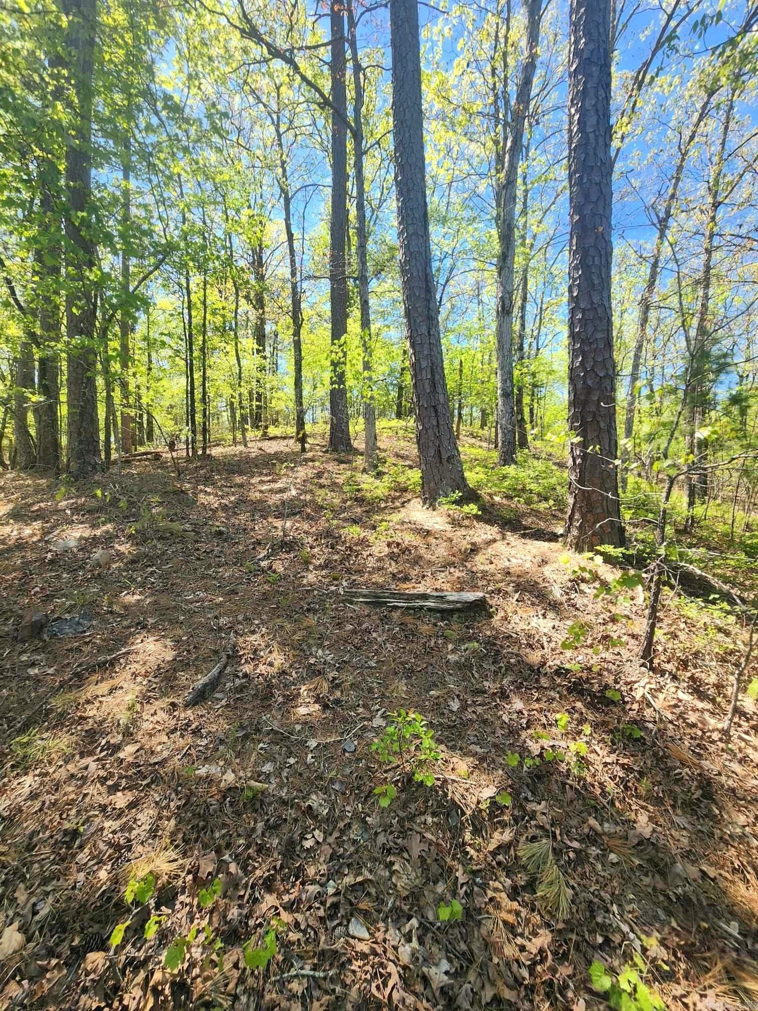 Lots 76-78 Red Oak Drive  Mena, AR