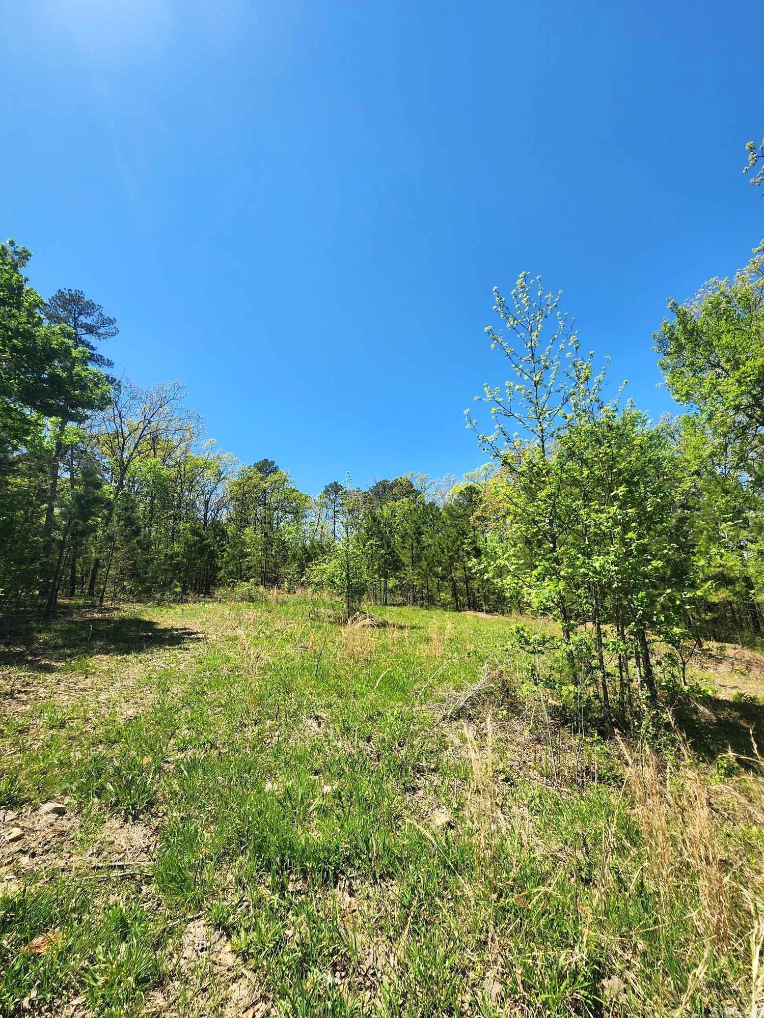 Lots 76-78 Red Oak Drive  Mena, AR