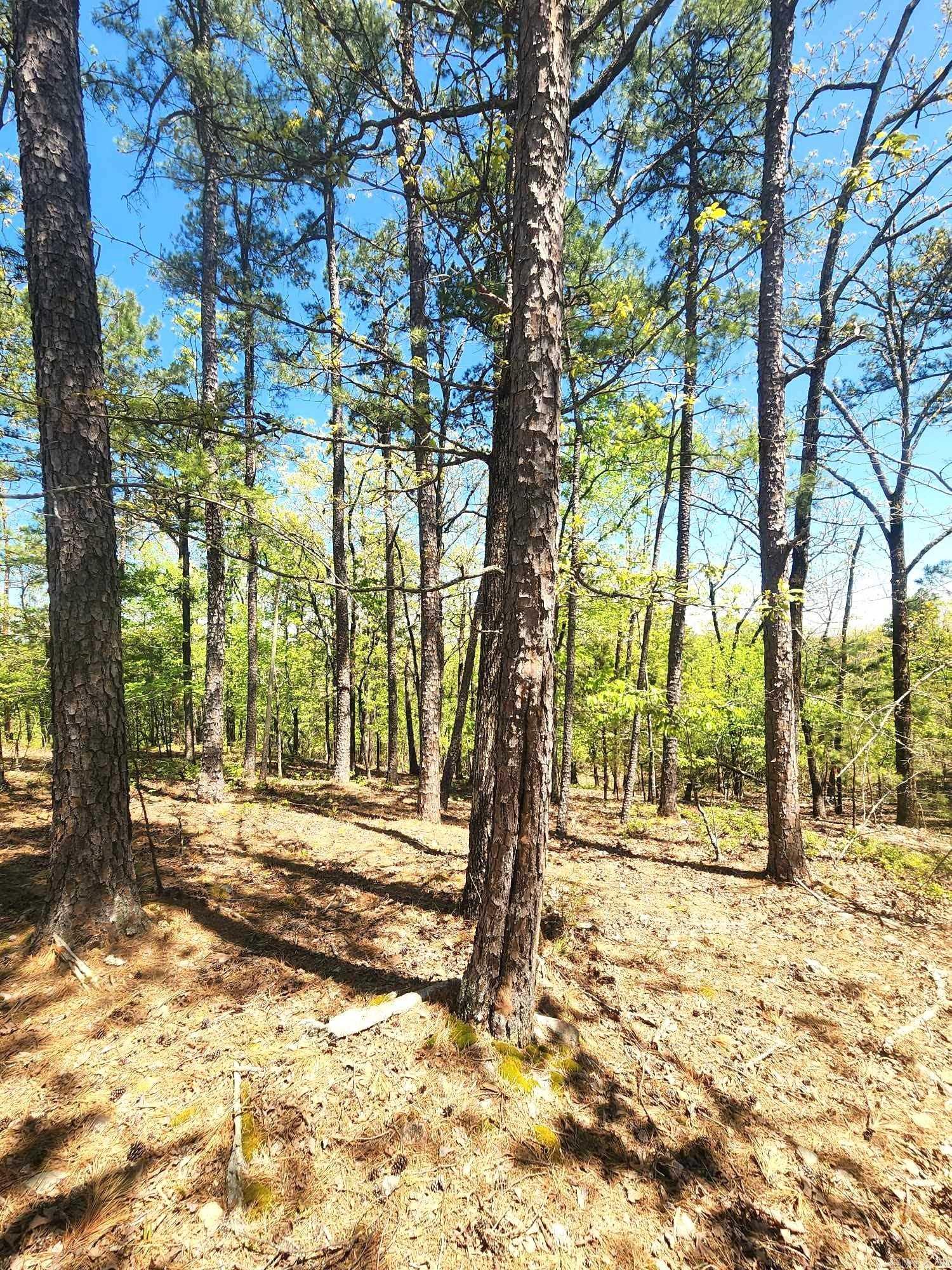 Lots 76-78 Red Oak Drive  Mena, AR