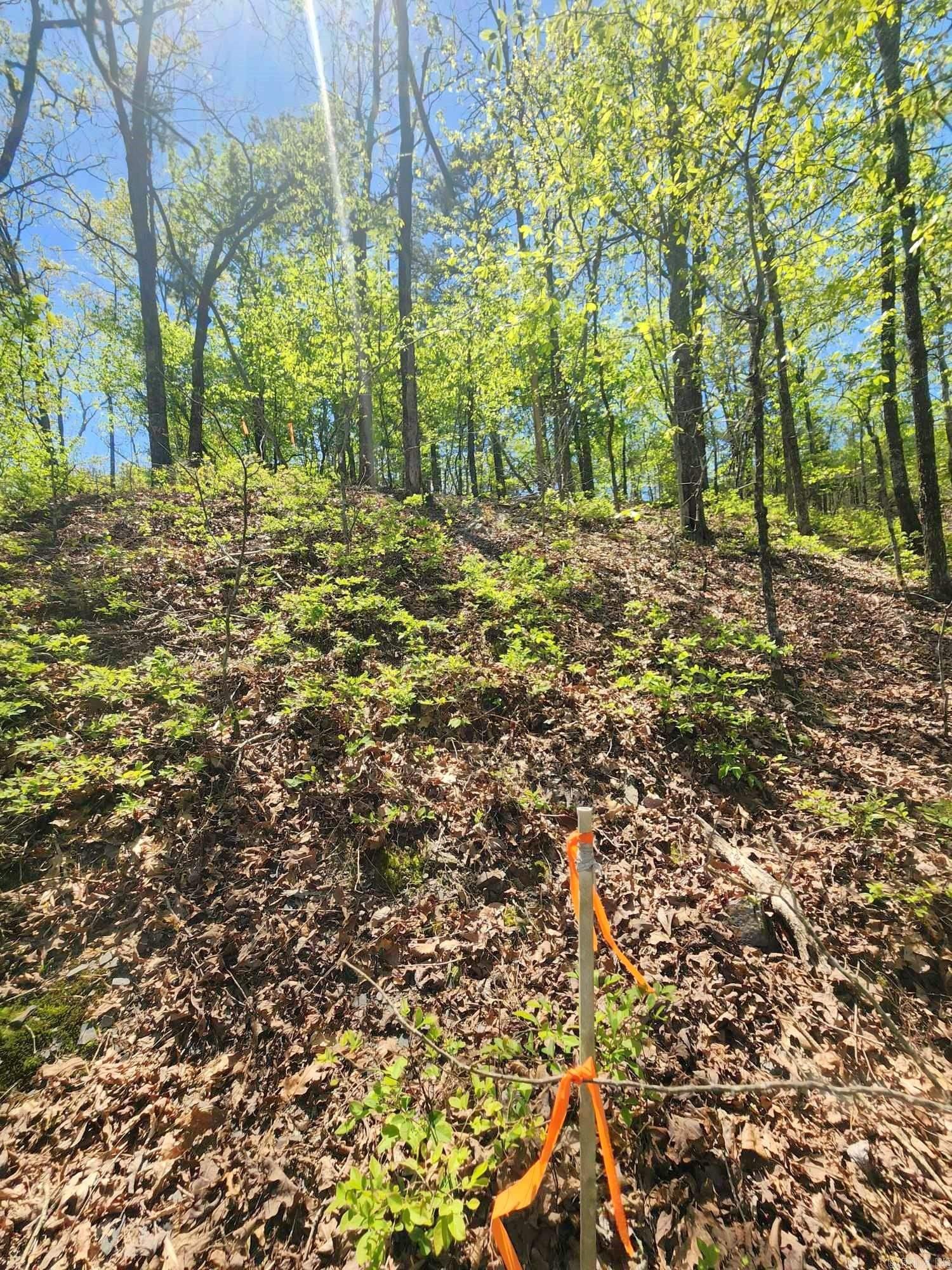 Lots 76-78 Red Oak Drive  Mena, AR