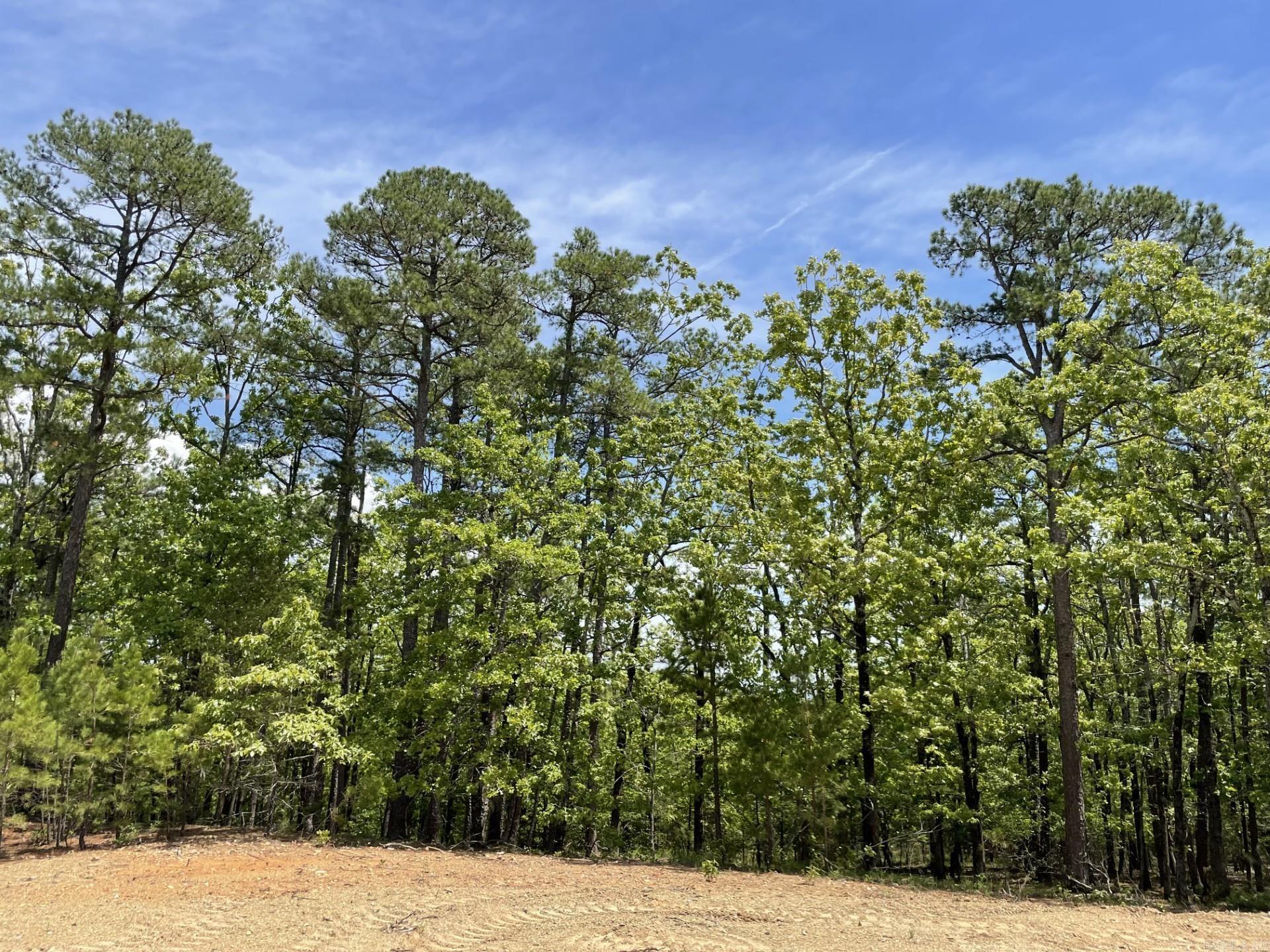 Lots 76-78 Red Oak Drive  Mena, AR