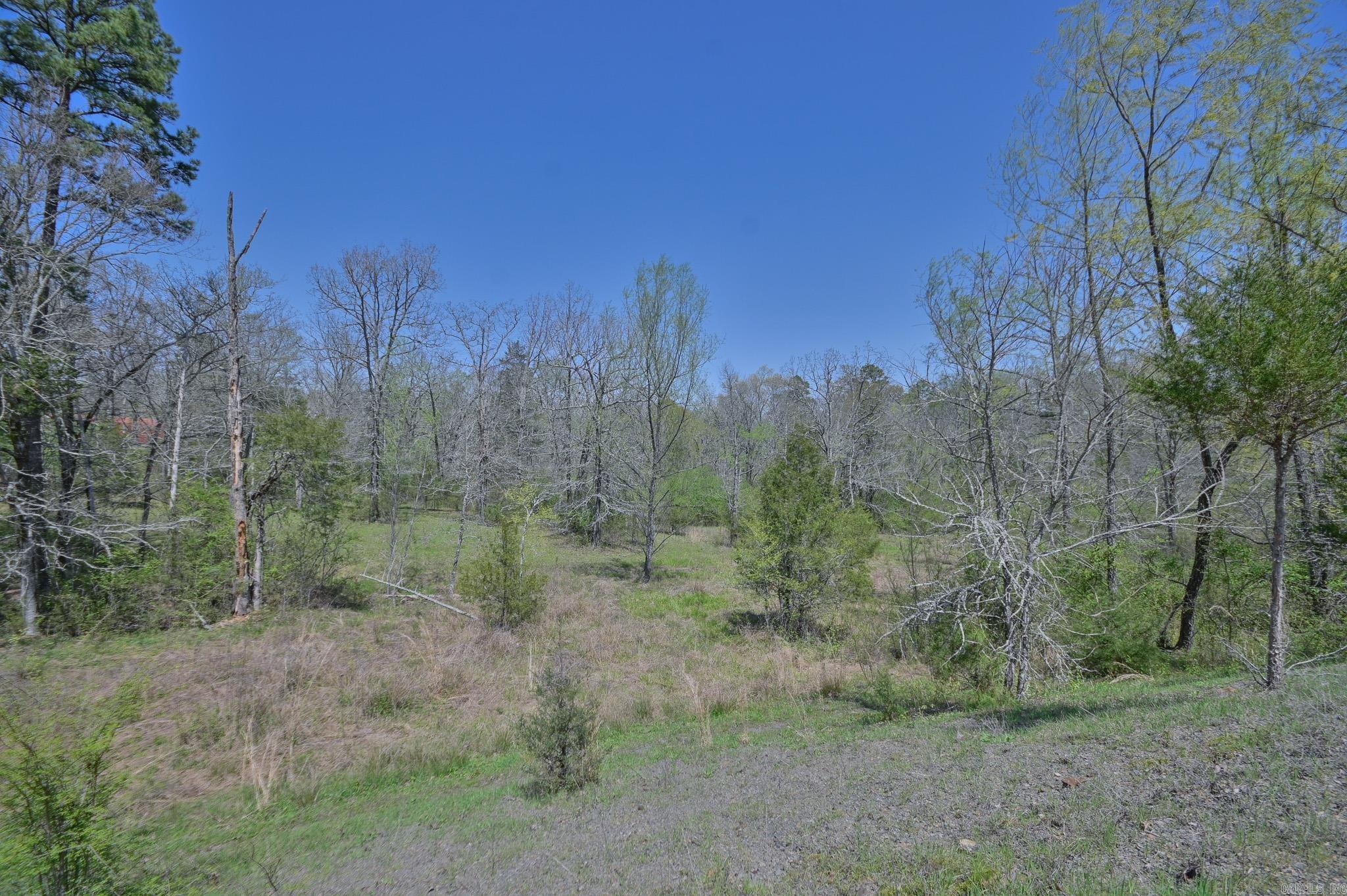 1295 Polk Road 47 Mena, AR 71953