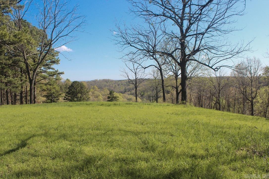 593 Hillhollow Rd  Marshall, AR