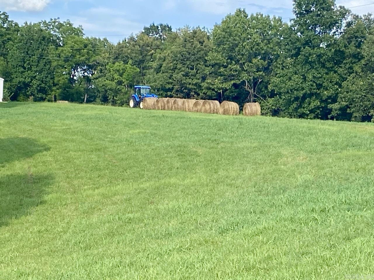 593 Hillhollow Rd  Marshall, AR