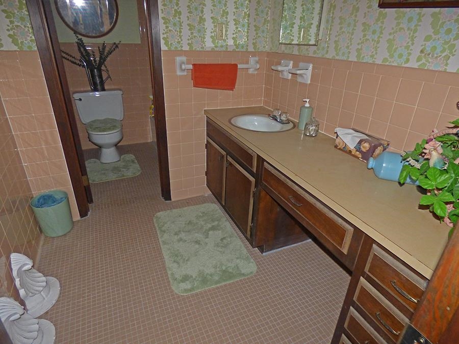 16 Annette Road Cherokee Village, AR 72529