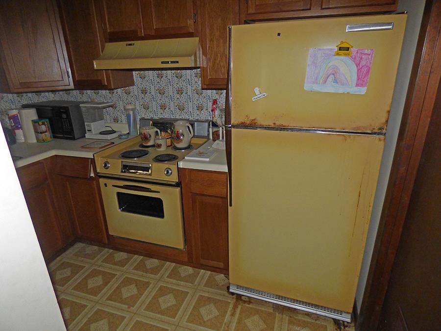 16 Annette Road Cherokee Village, AR 72529