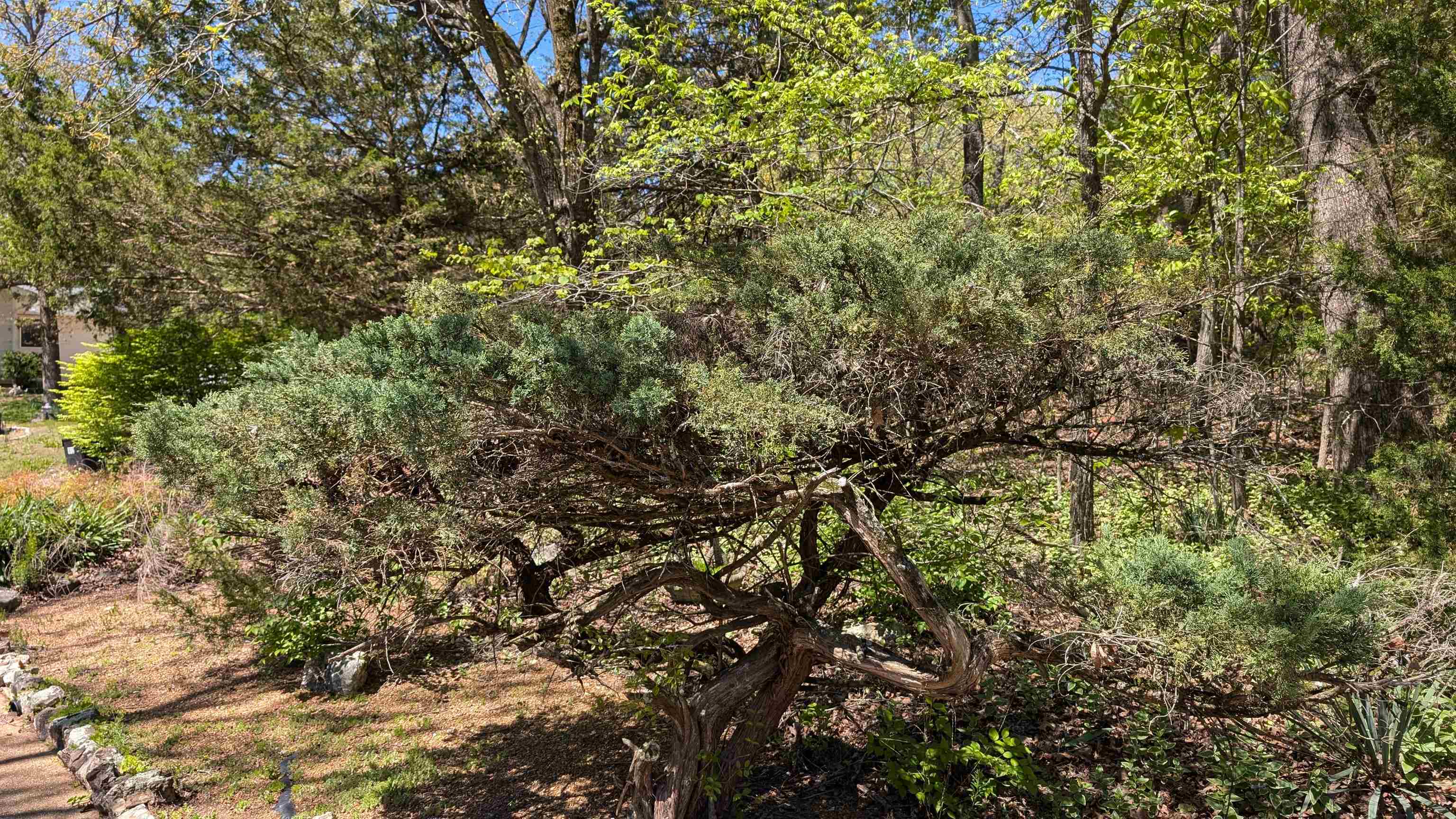 1012 Fairwater  Horseshoe Bend, AR