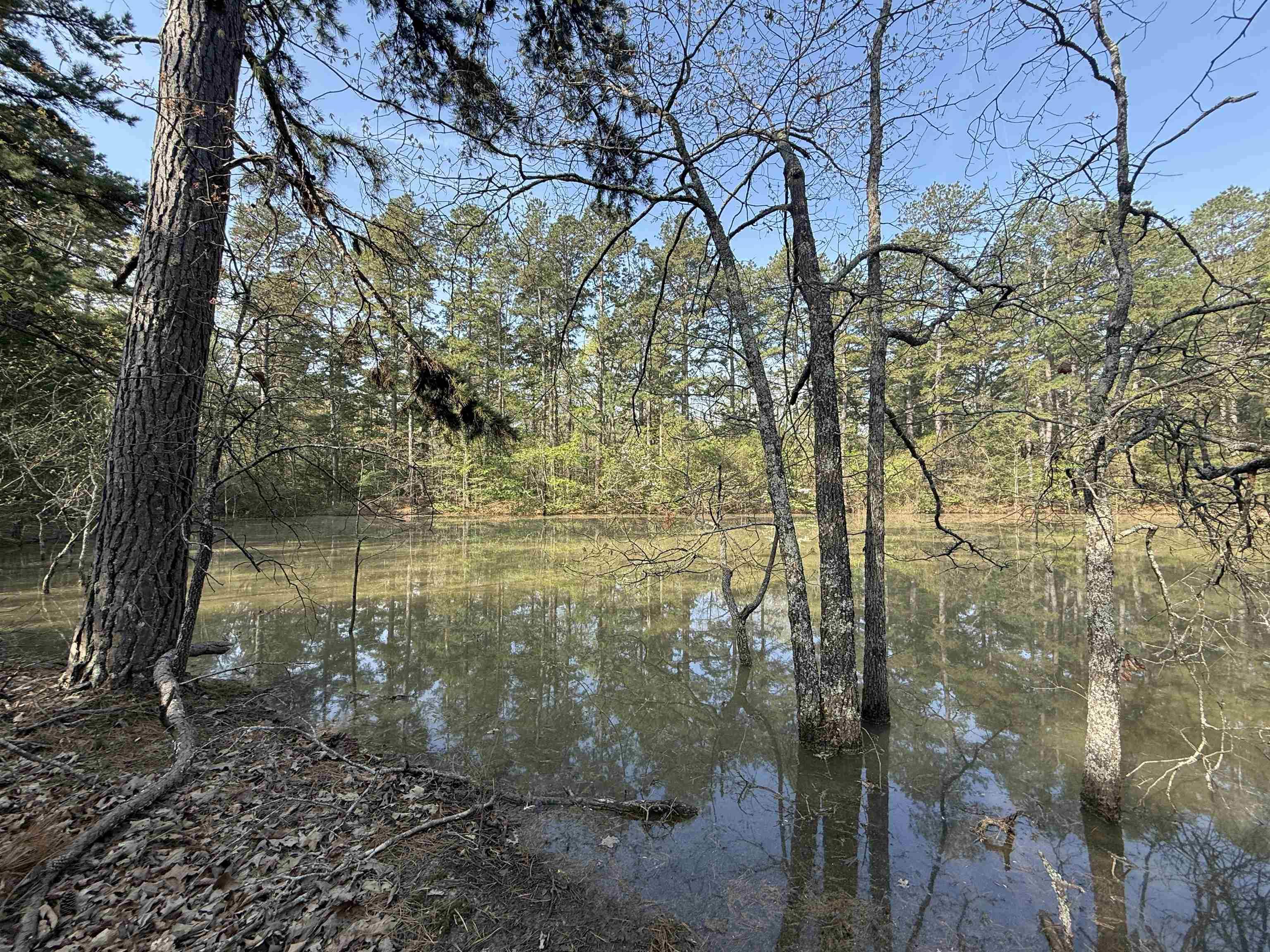 1314 Shoemaker Road  Violet Hill, AR