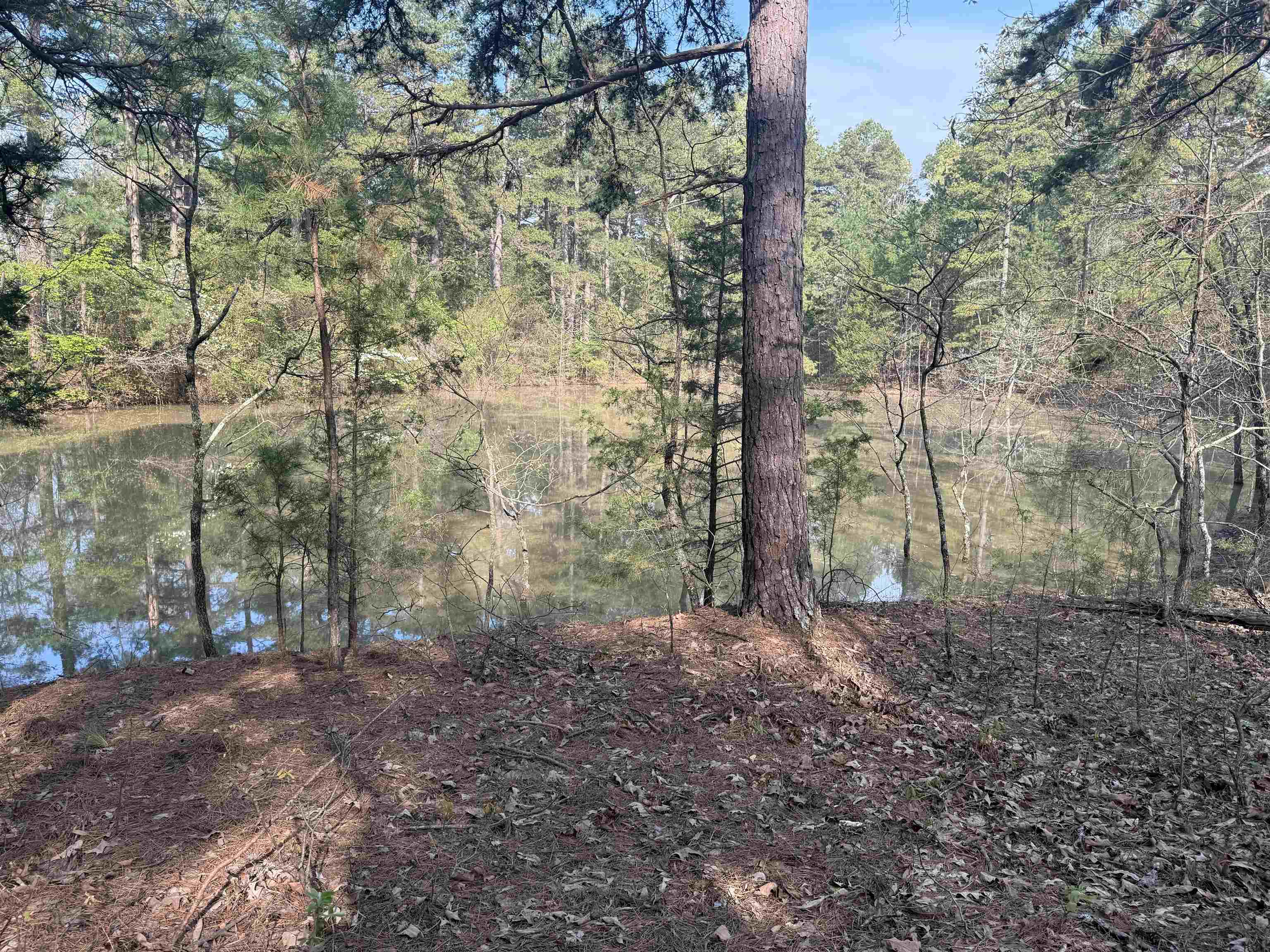 1314 Shoemaker Road  Violet Hill, AR