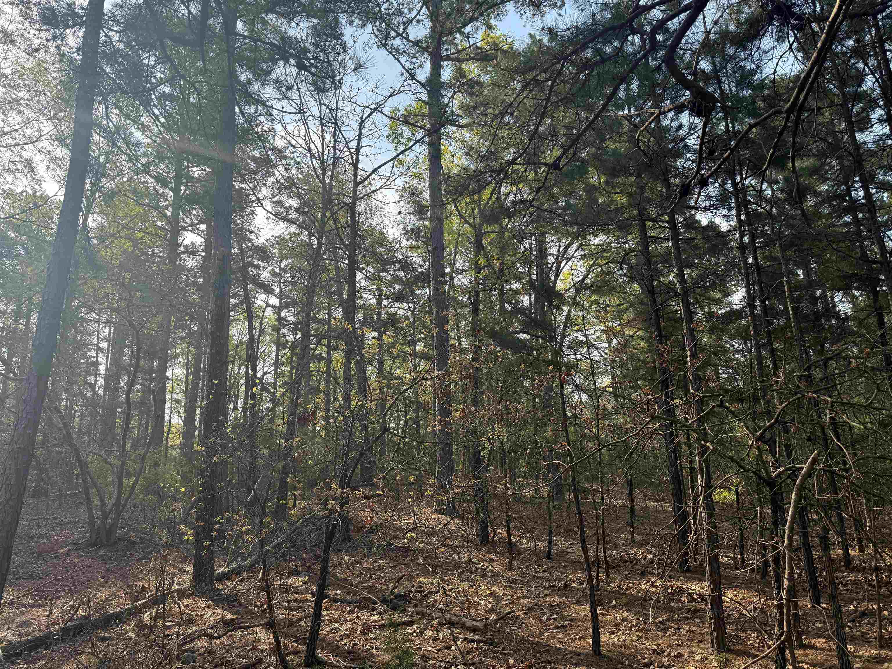 1314 Shoemaker Road  Violet Hill, AR