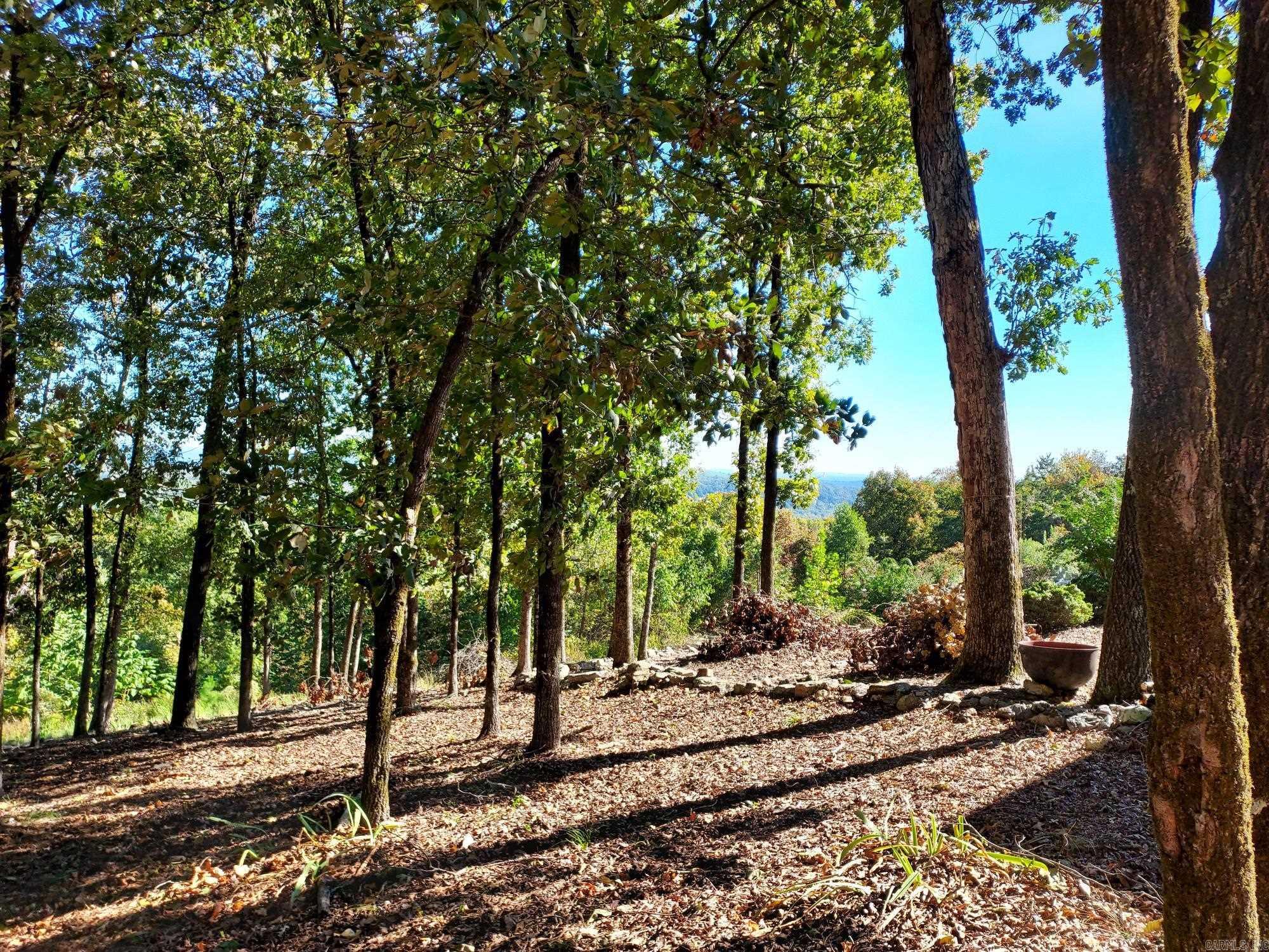 126 Mesero Way  Hot Springs Village, AR