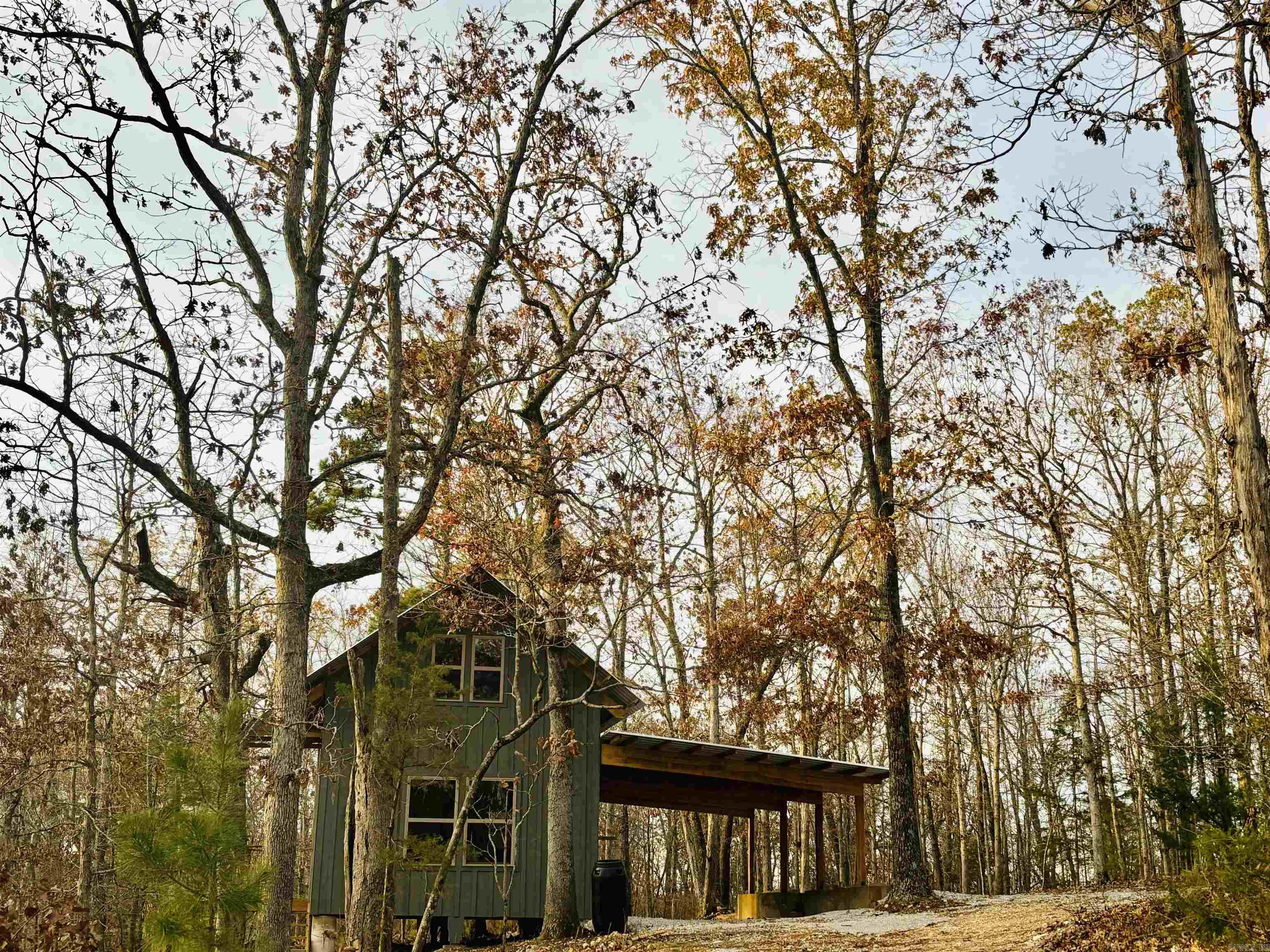 261 Mitchell  Mountain View, AR