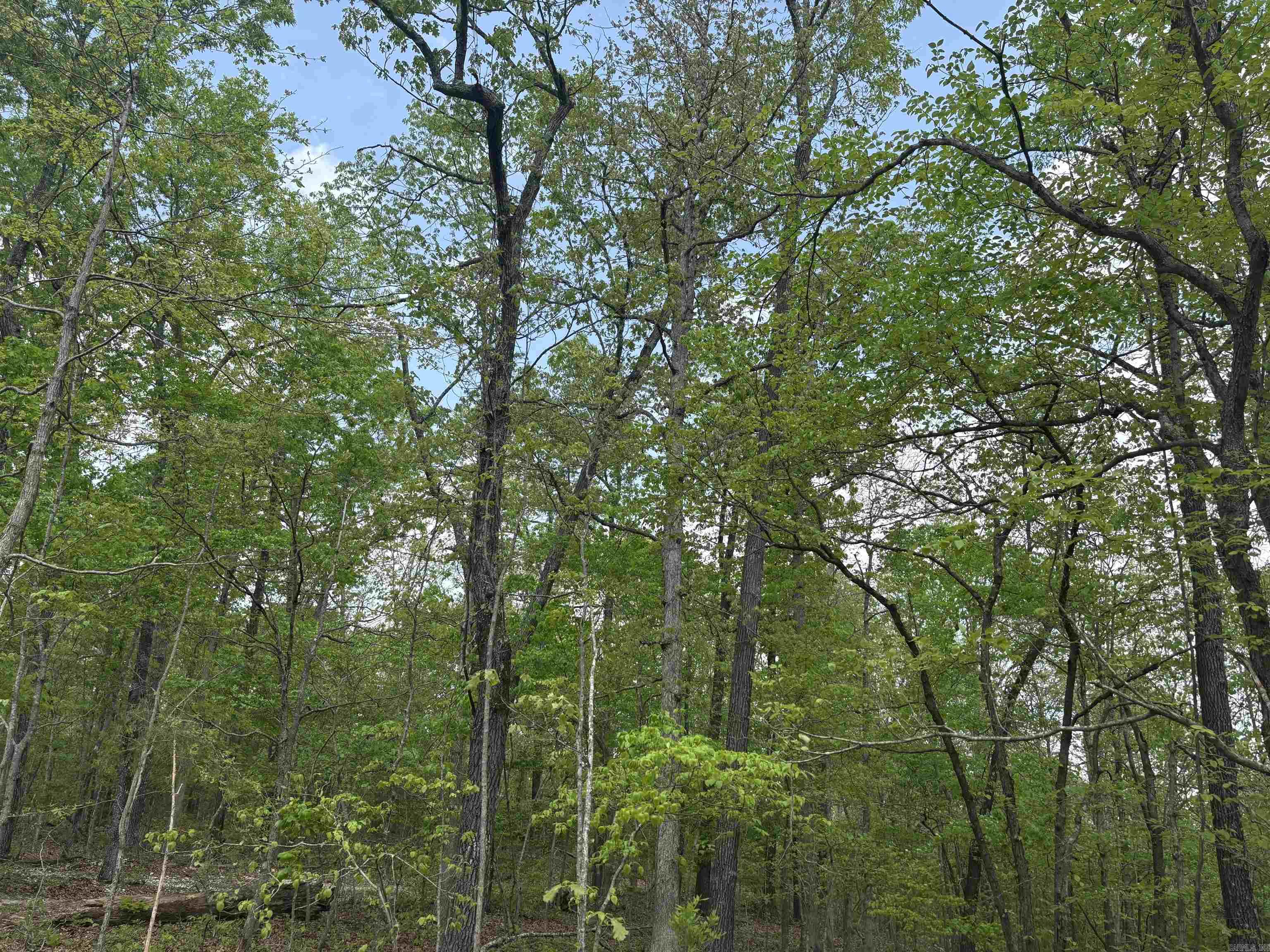 261 Mitchell  Mountain View, AR