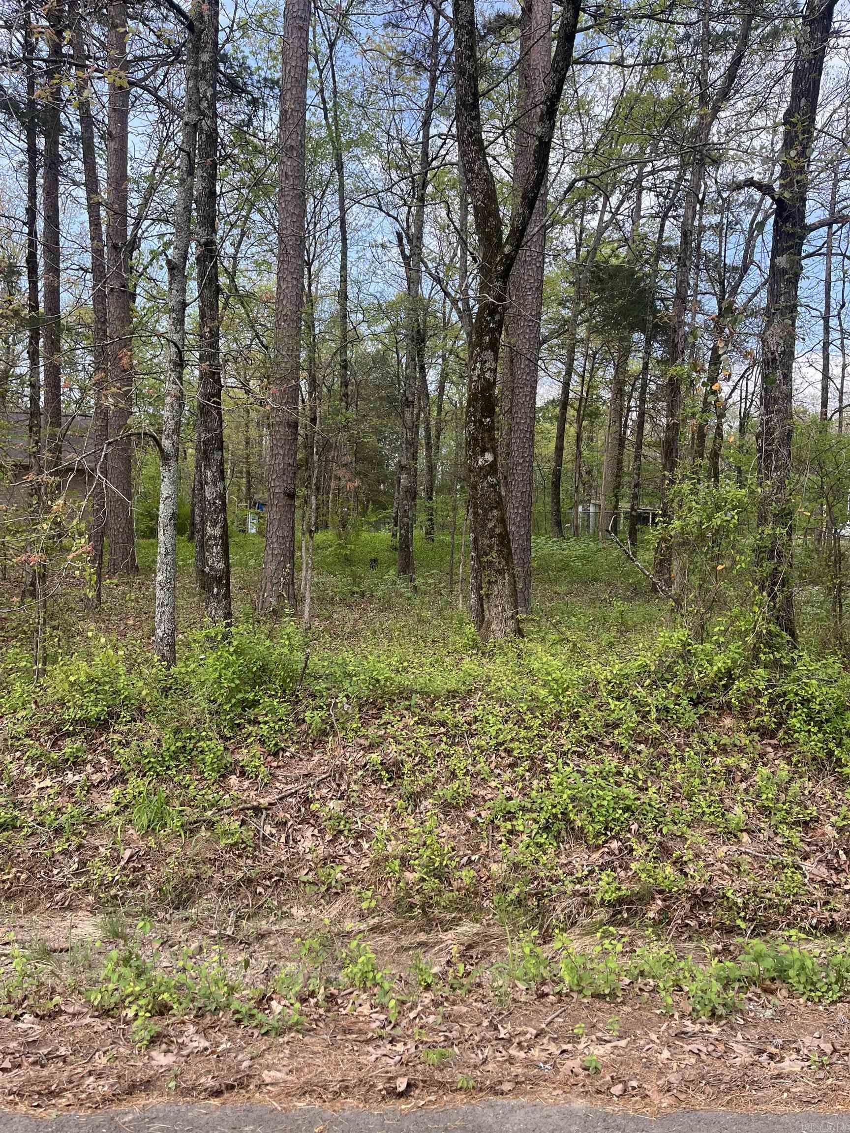 Lot 3 Lynch Rd.  Clinton, AR
