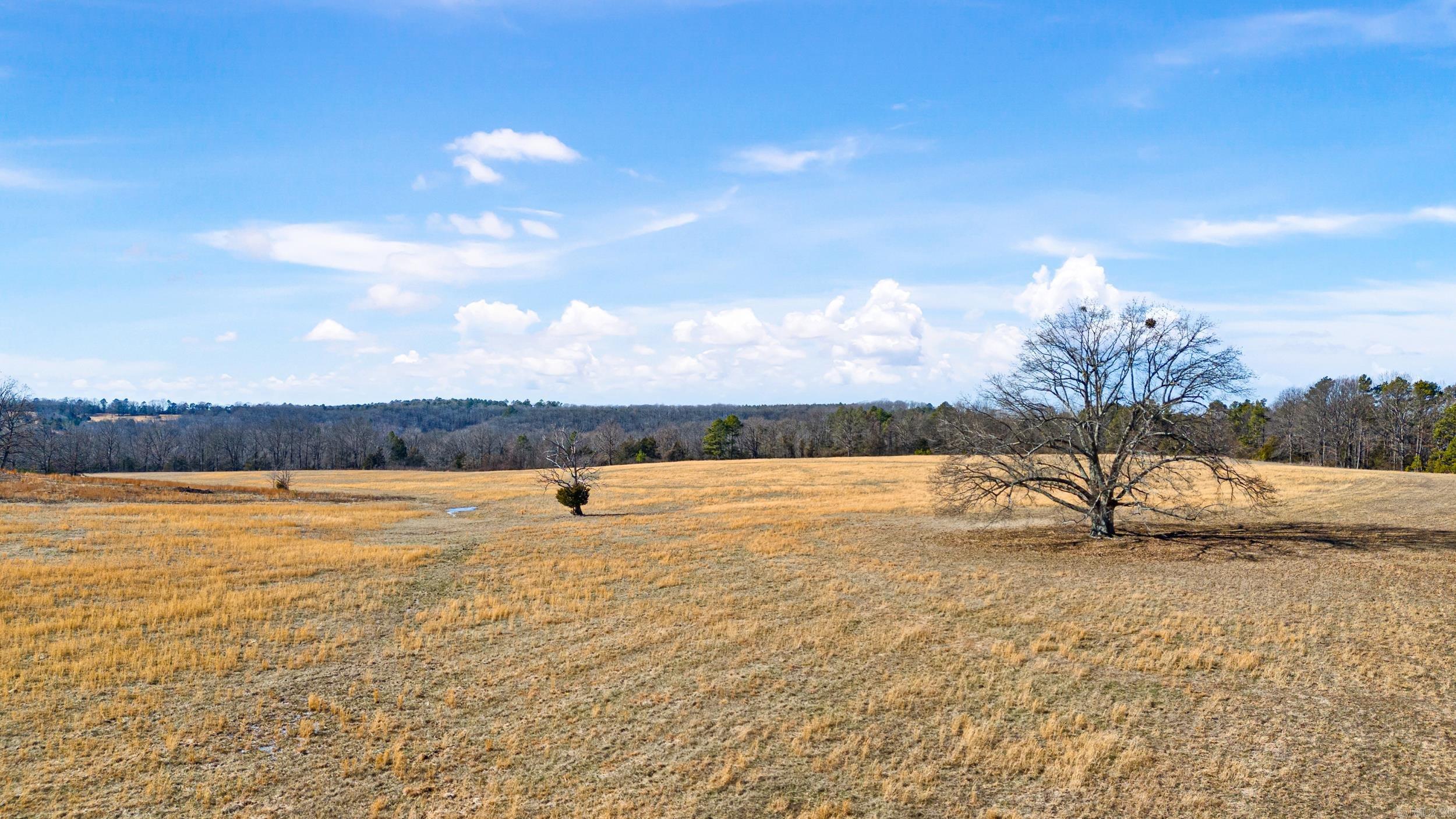 6127 Dabney  Jerusalem, AR