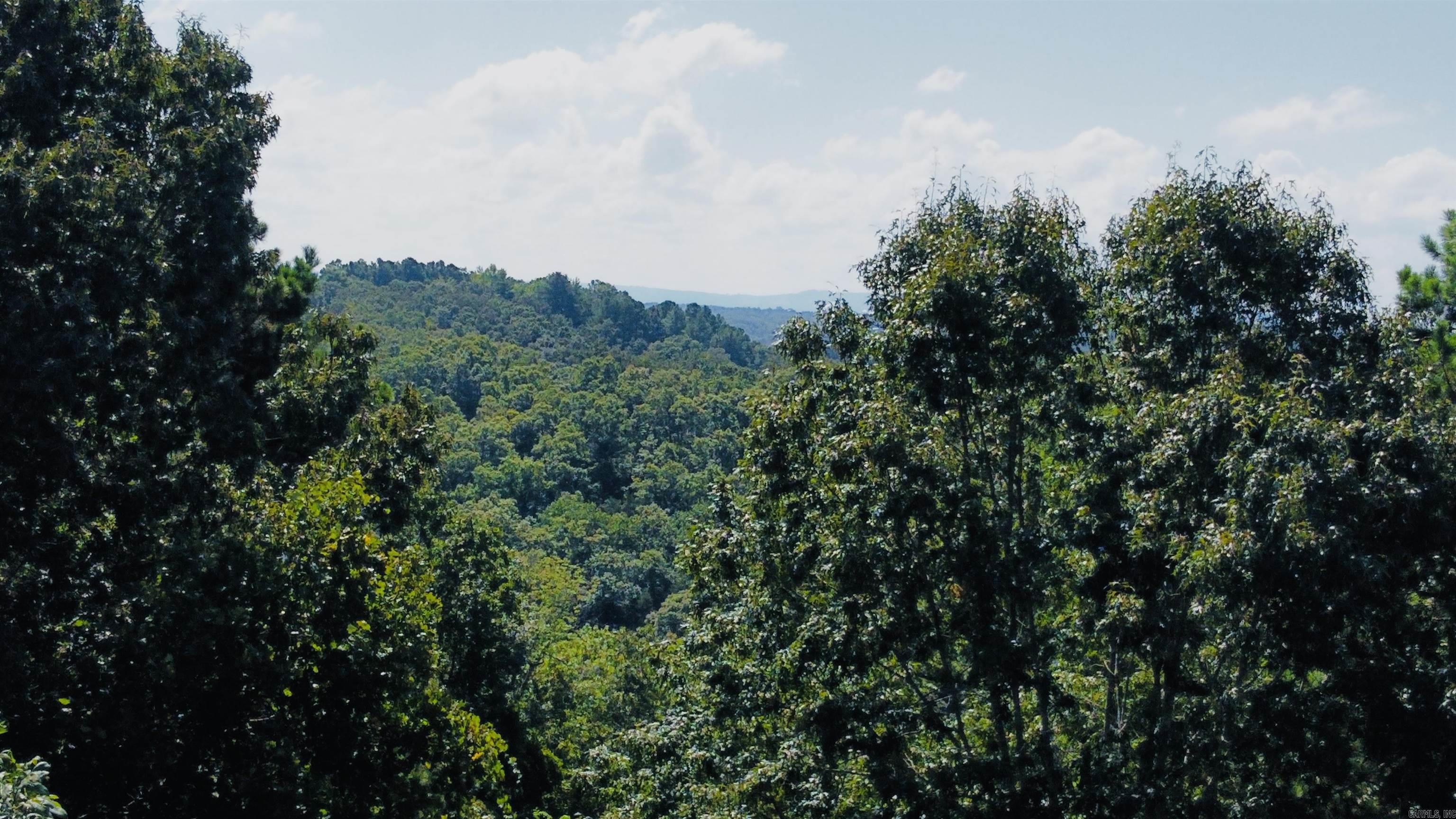 12985 N US 65  Saint Joe, AR