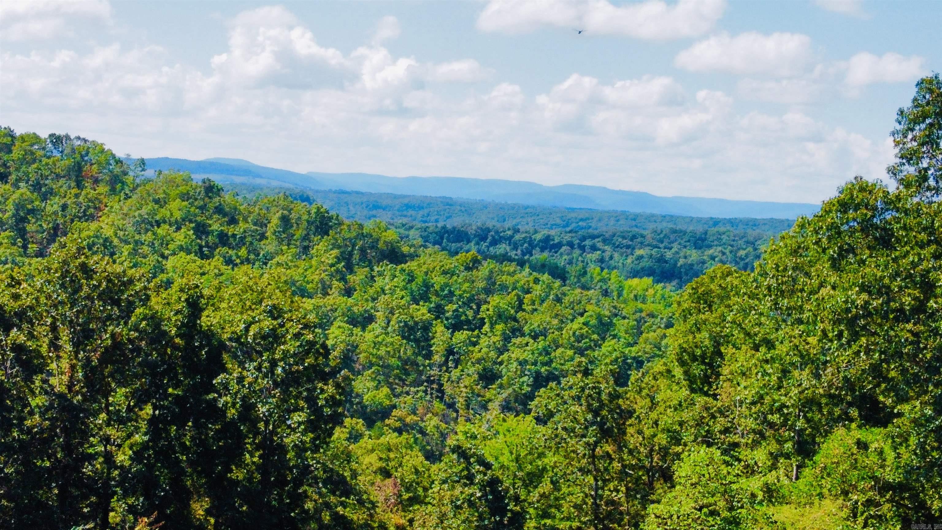 12985 N US 65  Saint Joe, AR