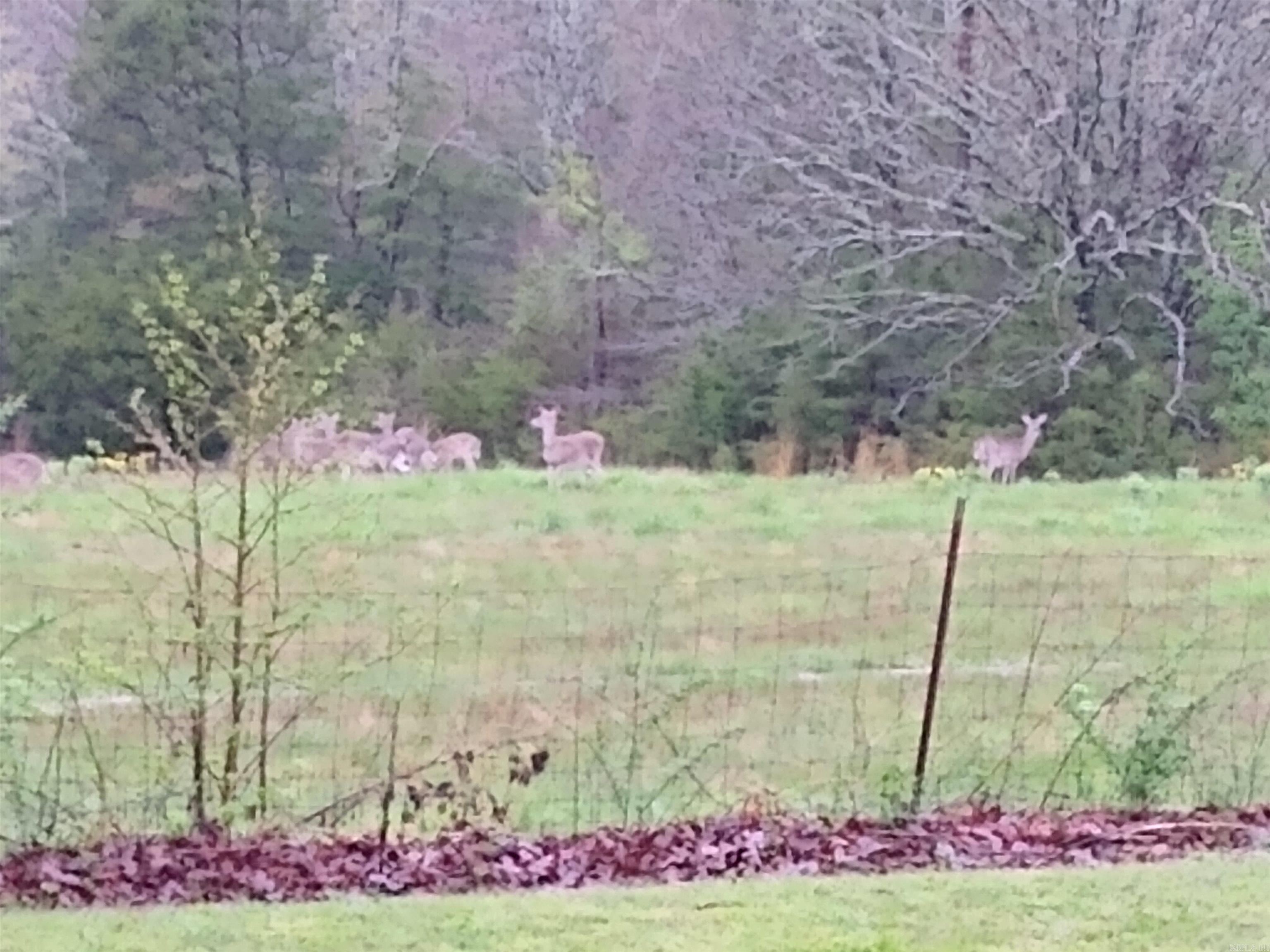 176 Polk Road 76 Mena, AR 71953