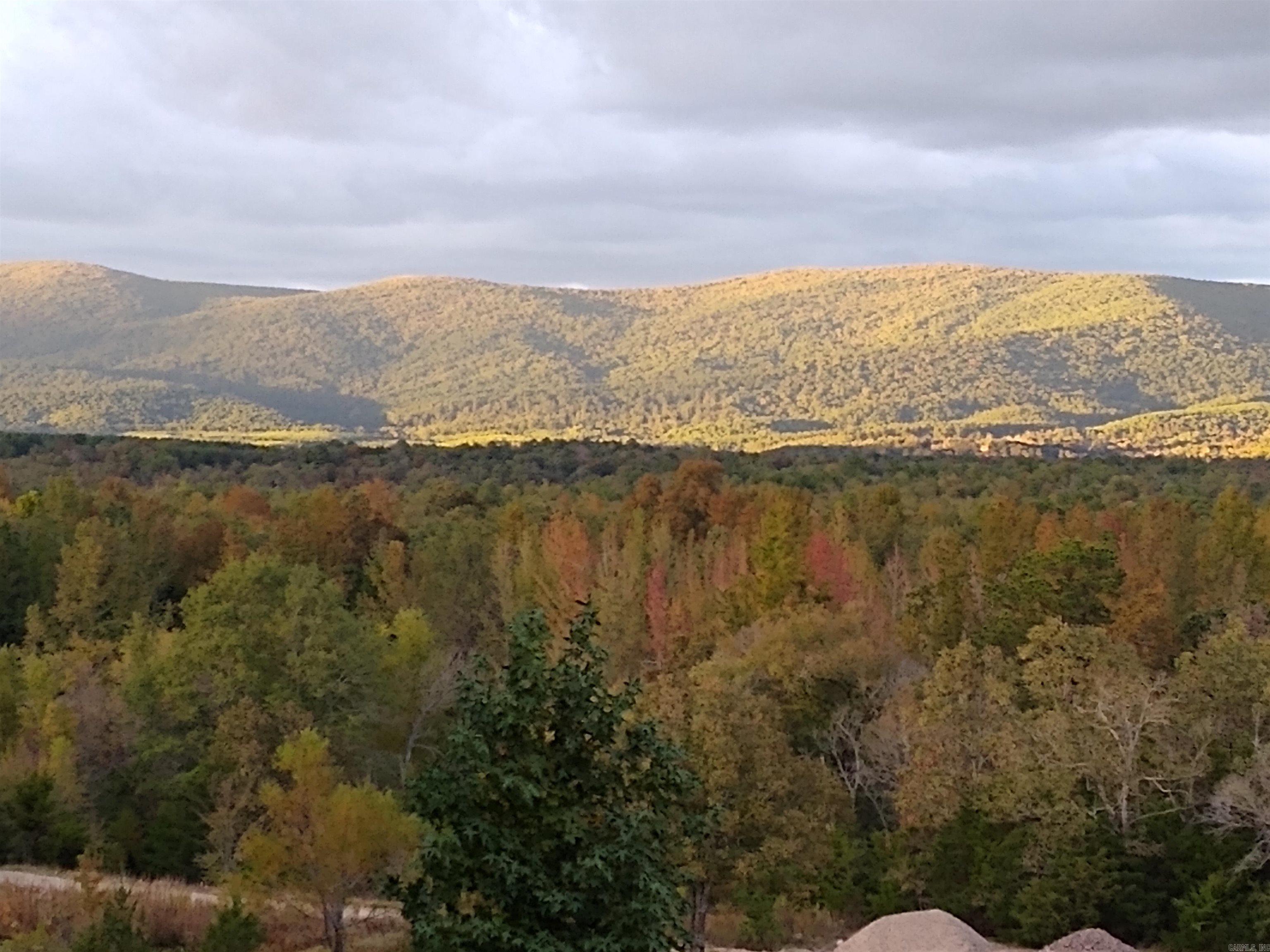 176 Polk Road 76 Mena, AR 71953