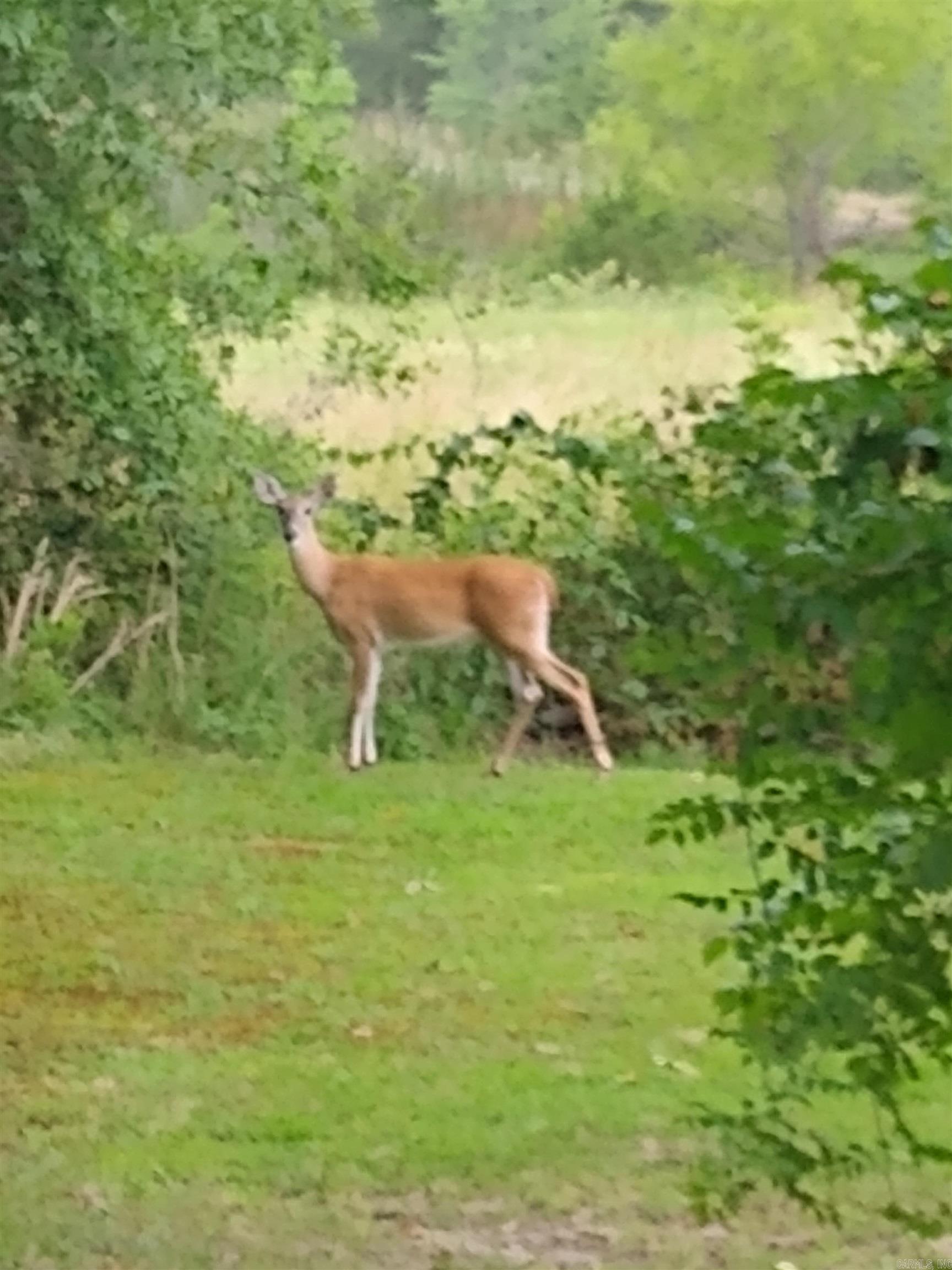 176 Polk Road 76 Mena, AR 71953