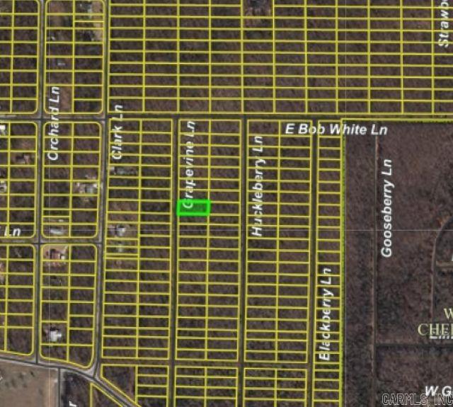 1206 Grapevine Ln  Horseshoe Bend, AR