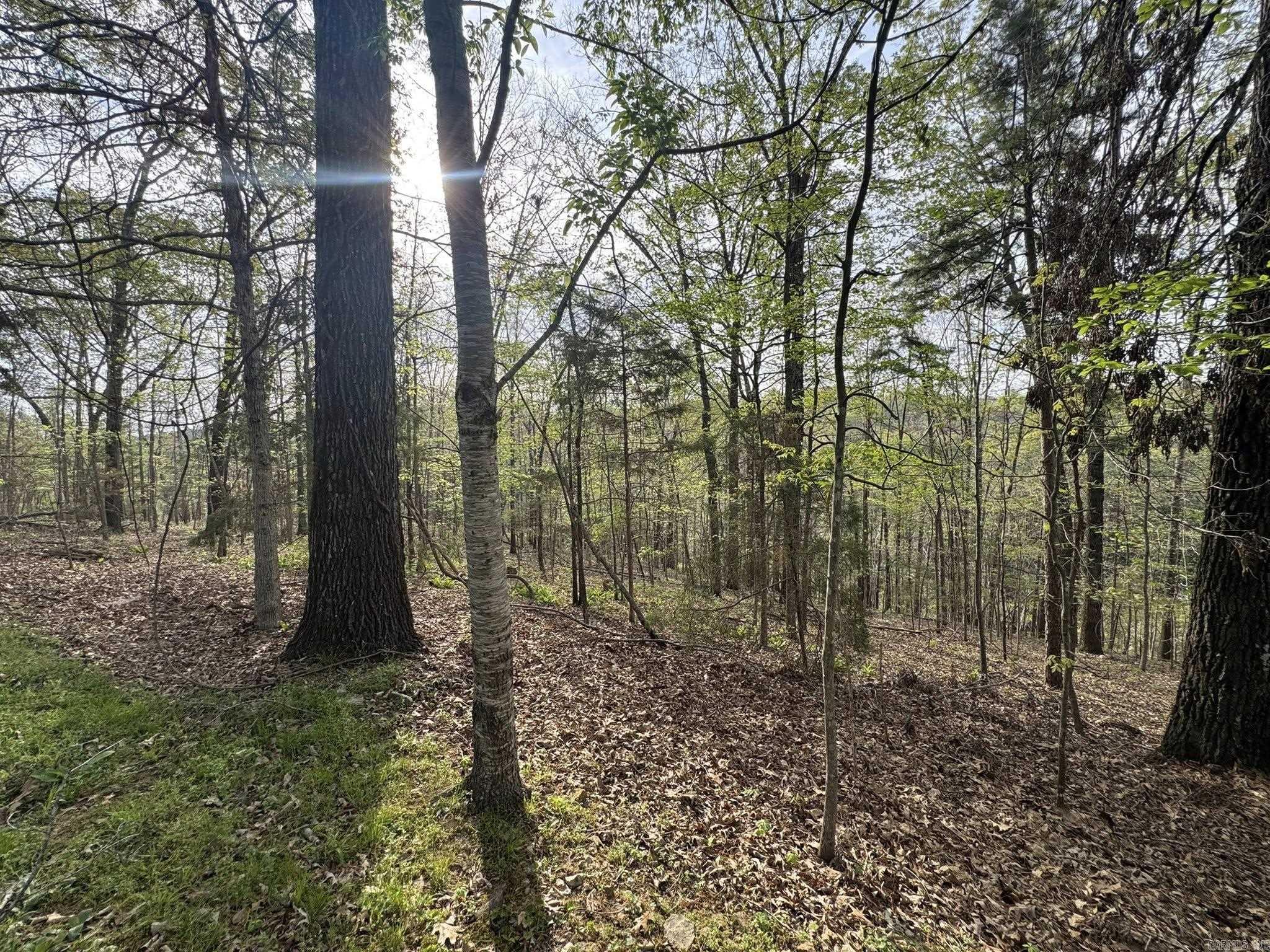 855 N Ridgeview Drive Mountain View, AR 72560