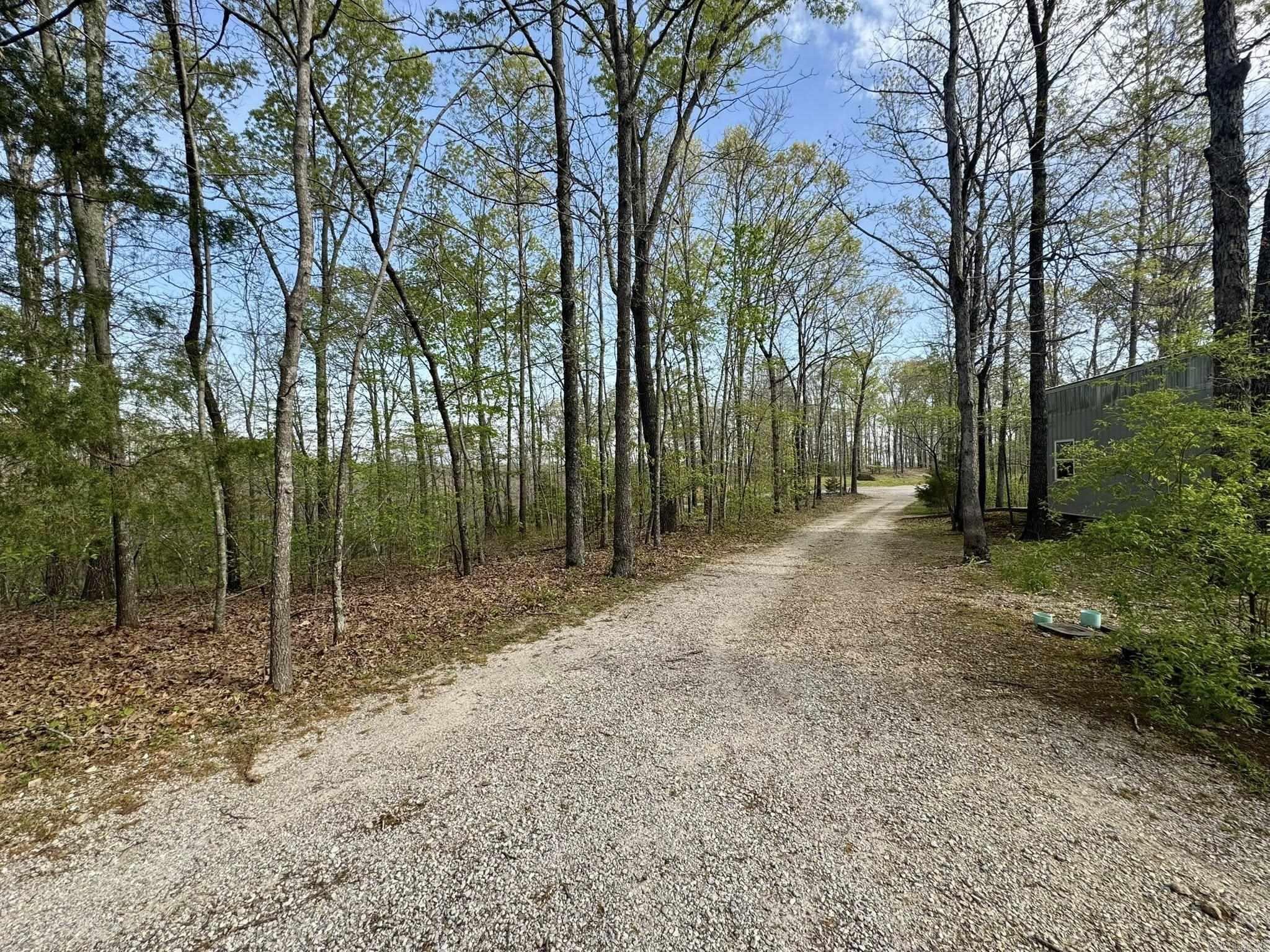 855 N Ridgeview Drive Mountain View, AR 72560