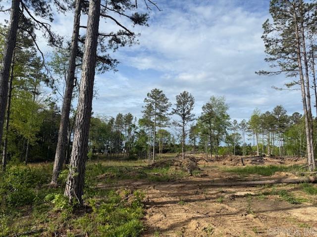 244 Little Rock  Heber Springs, AR