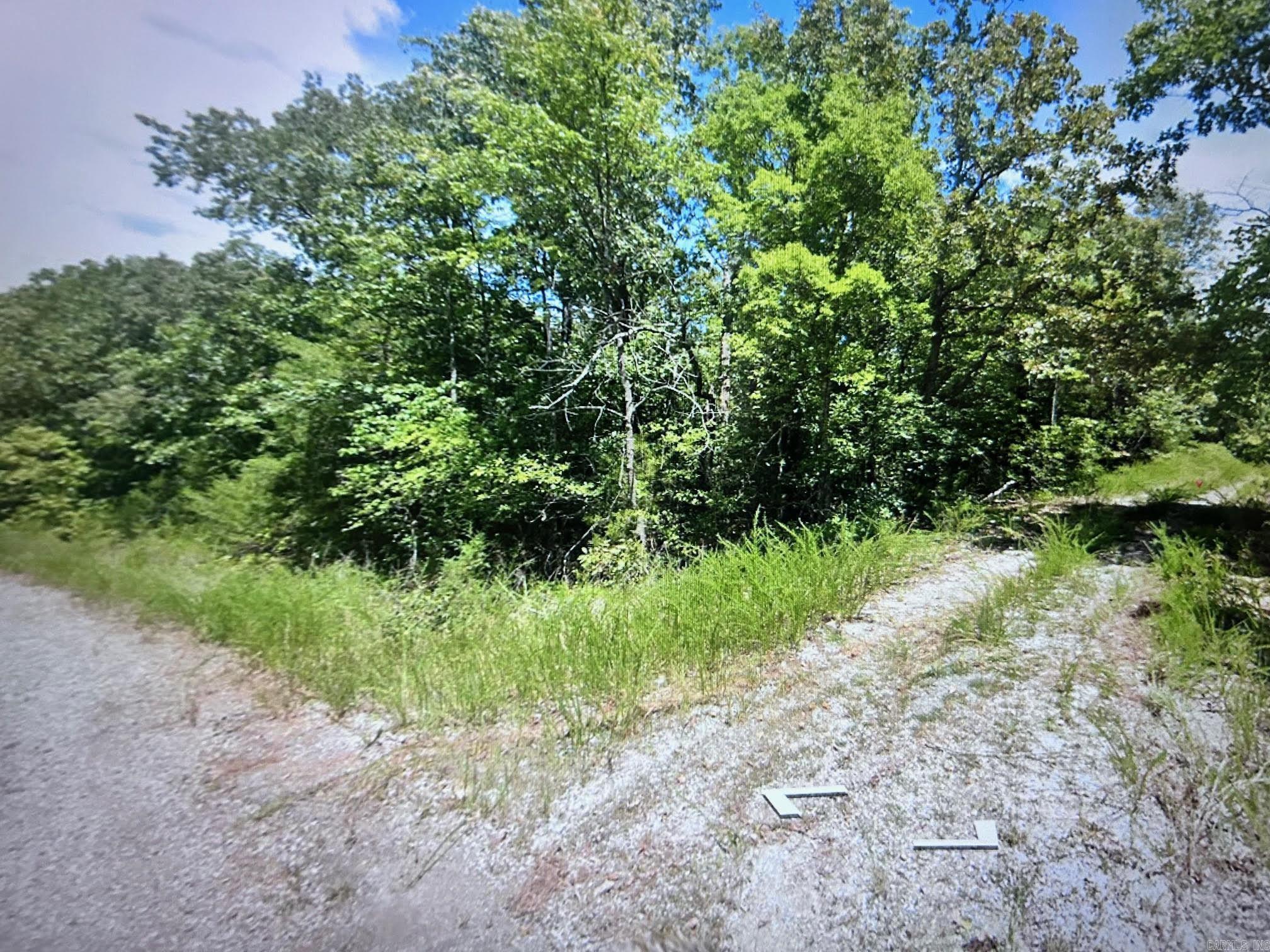 Lot 12 Coma Trace  Cherokee Village, AR