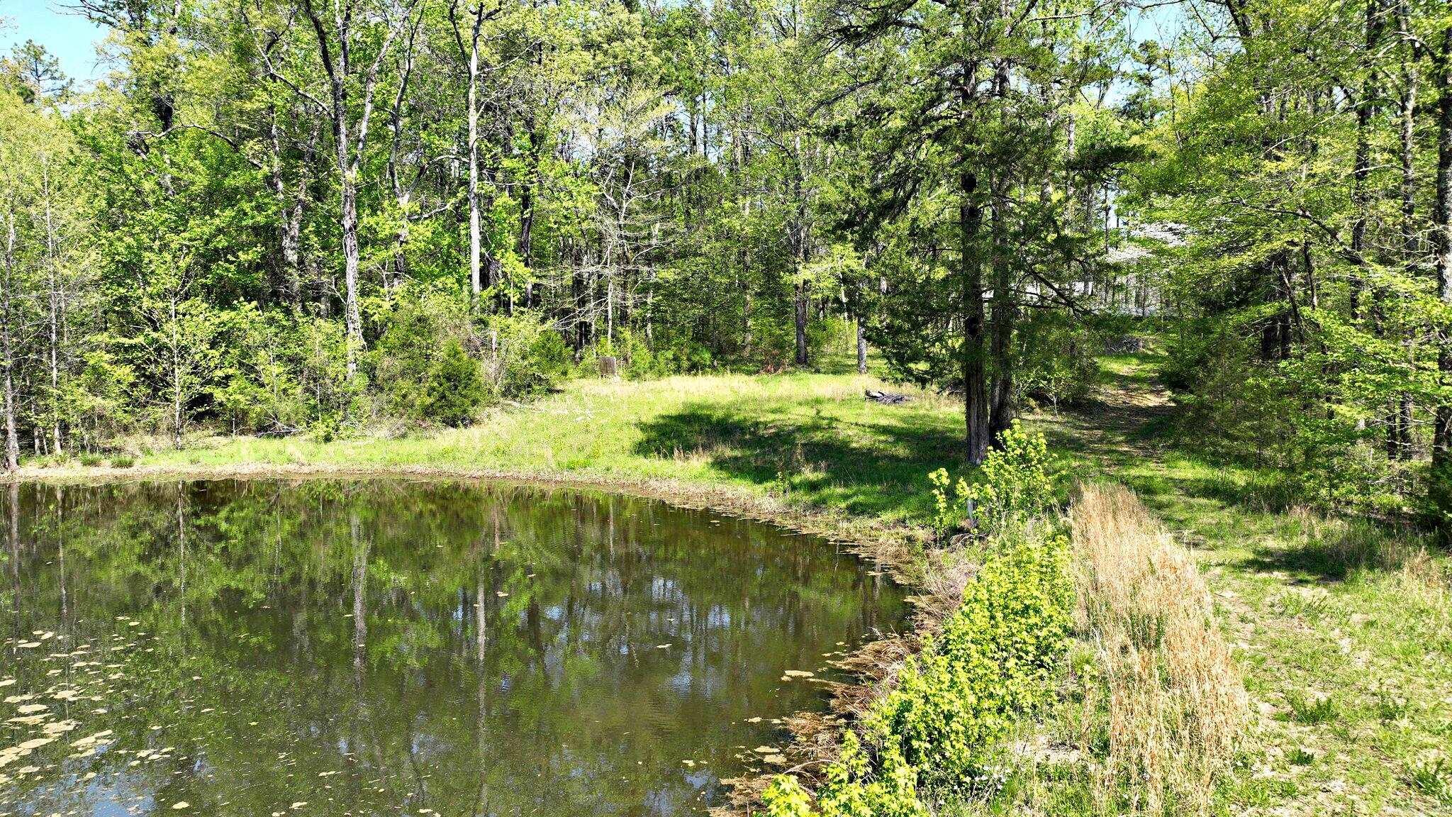 120 Paw Lane  Mena, AR