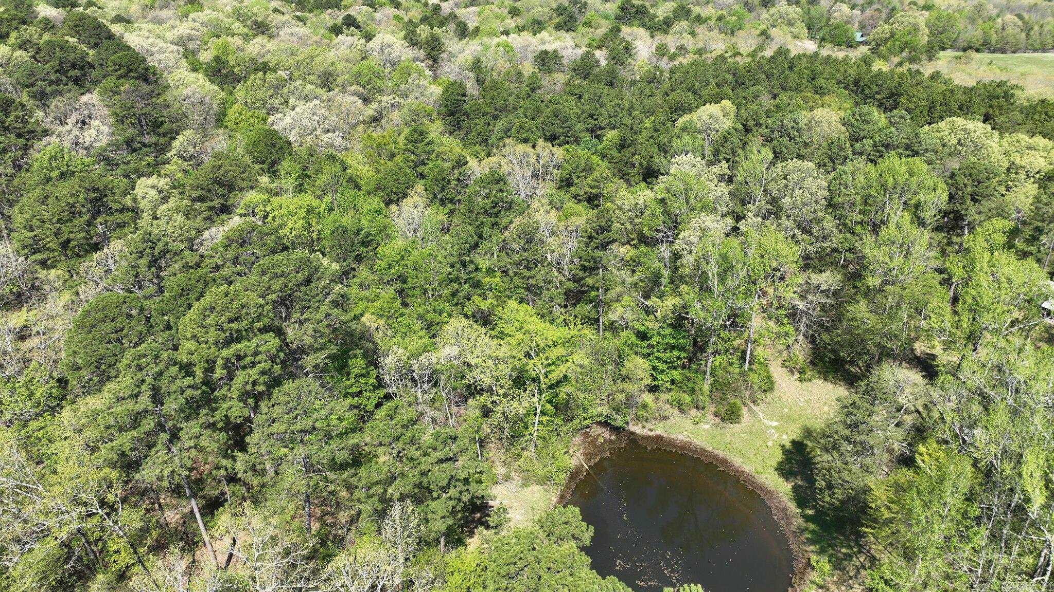 120 Paw Lane  Mena, AR