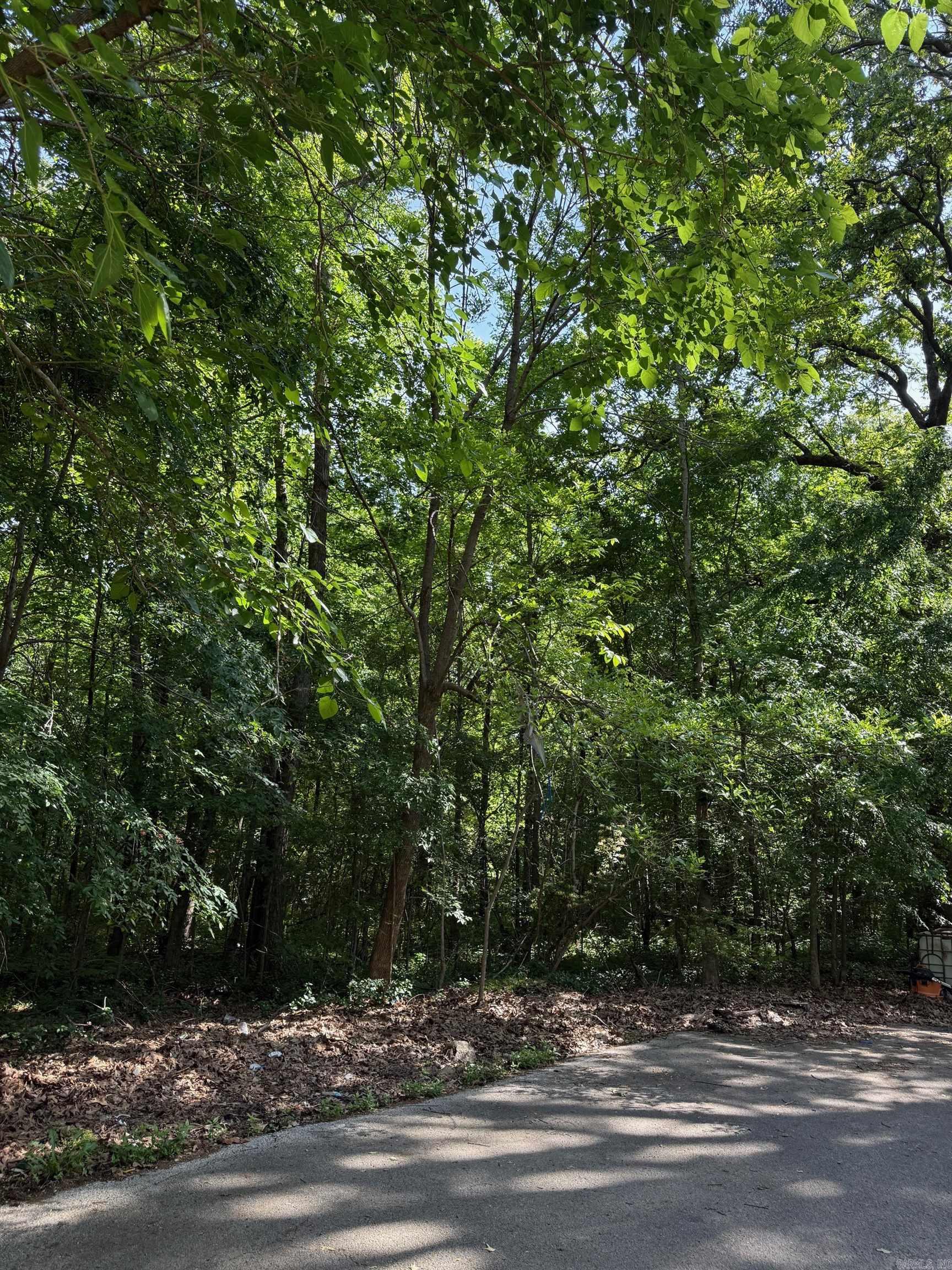 13 Darlene  Jonesboro, AR