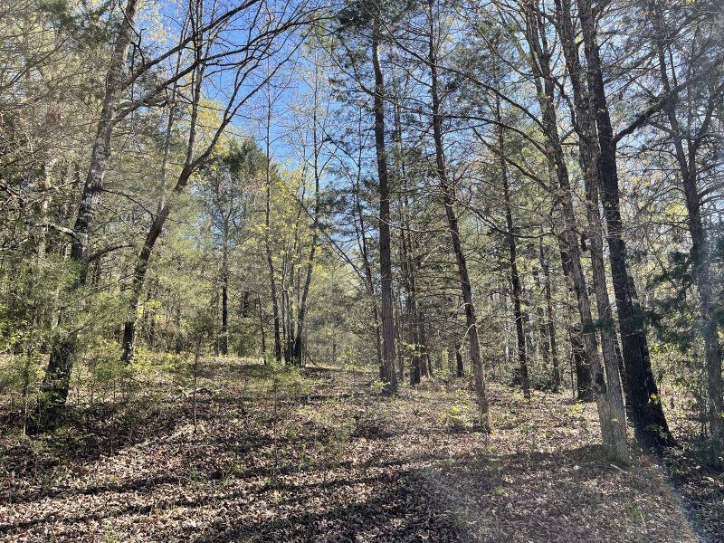 18851 Highway 90 W  Ravenden Springs, AR